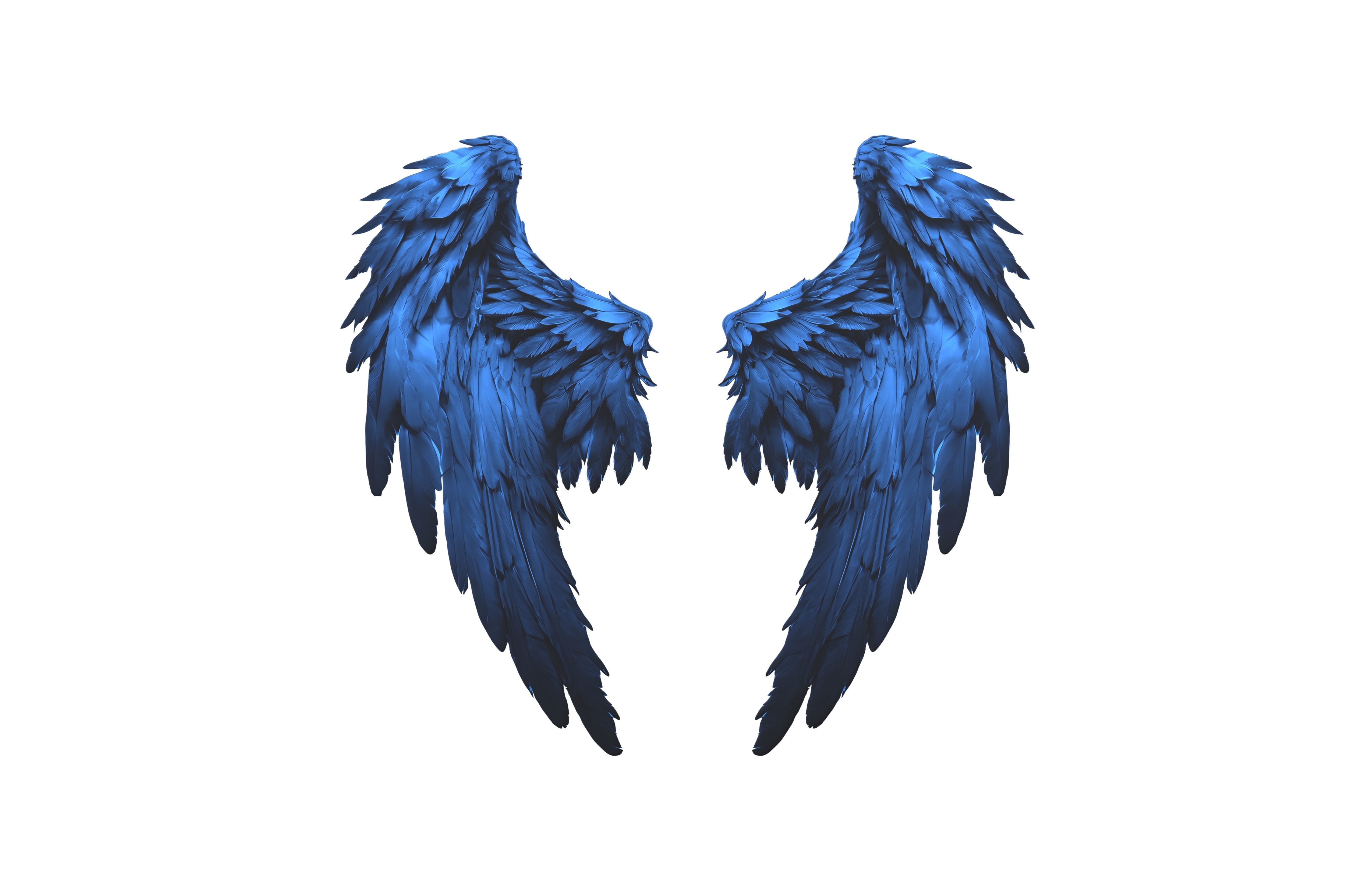 Low Poly Wings v5 004 Low-poly 3D model_1