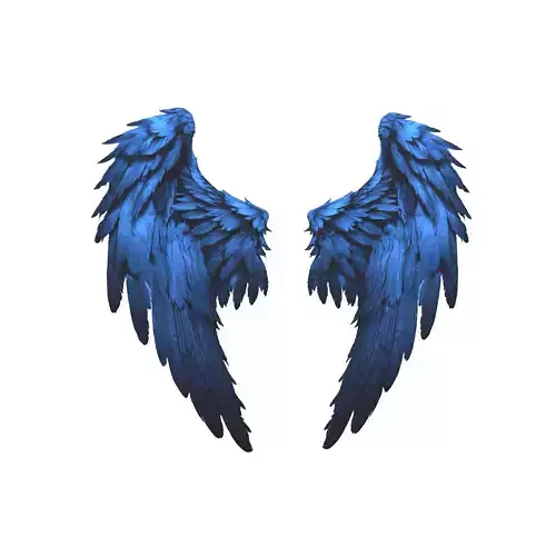 Low Poly Wings v5 004 Low-poly 3D model