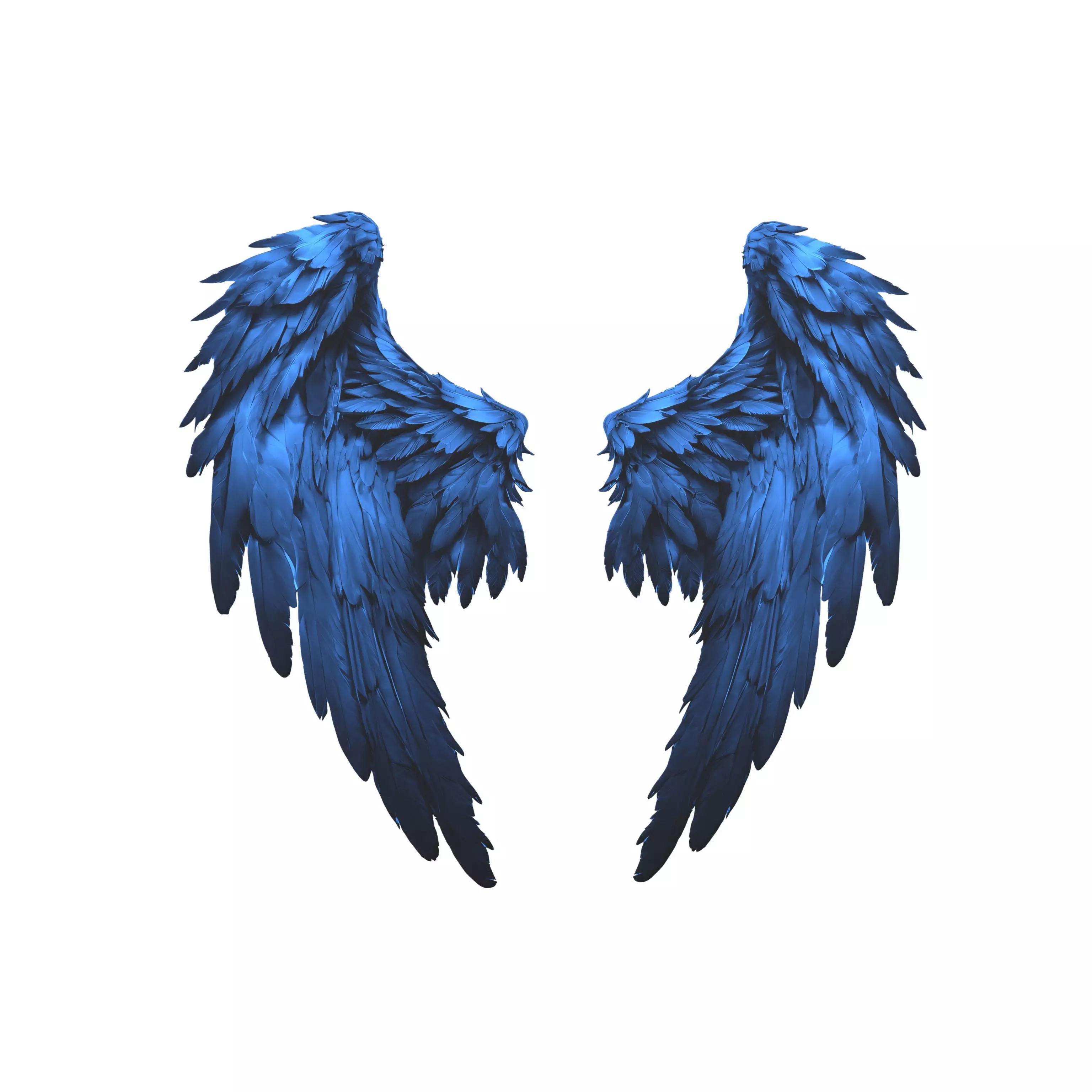 Low Poly Wings v5 004 Low-poly 3D model_0