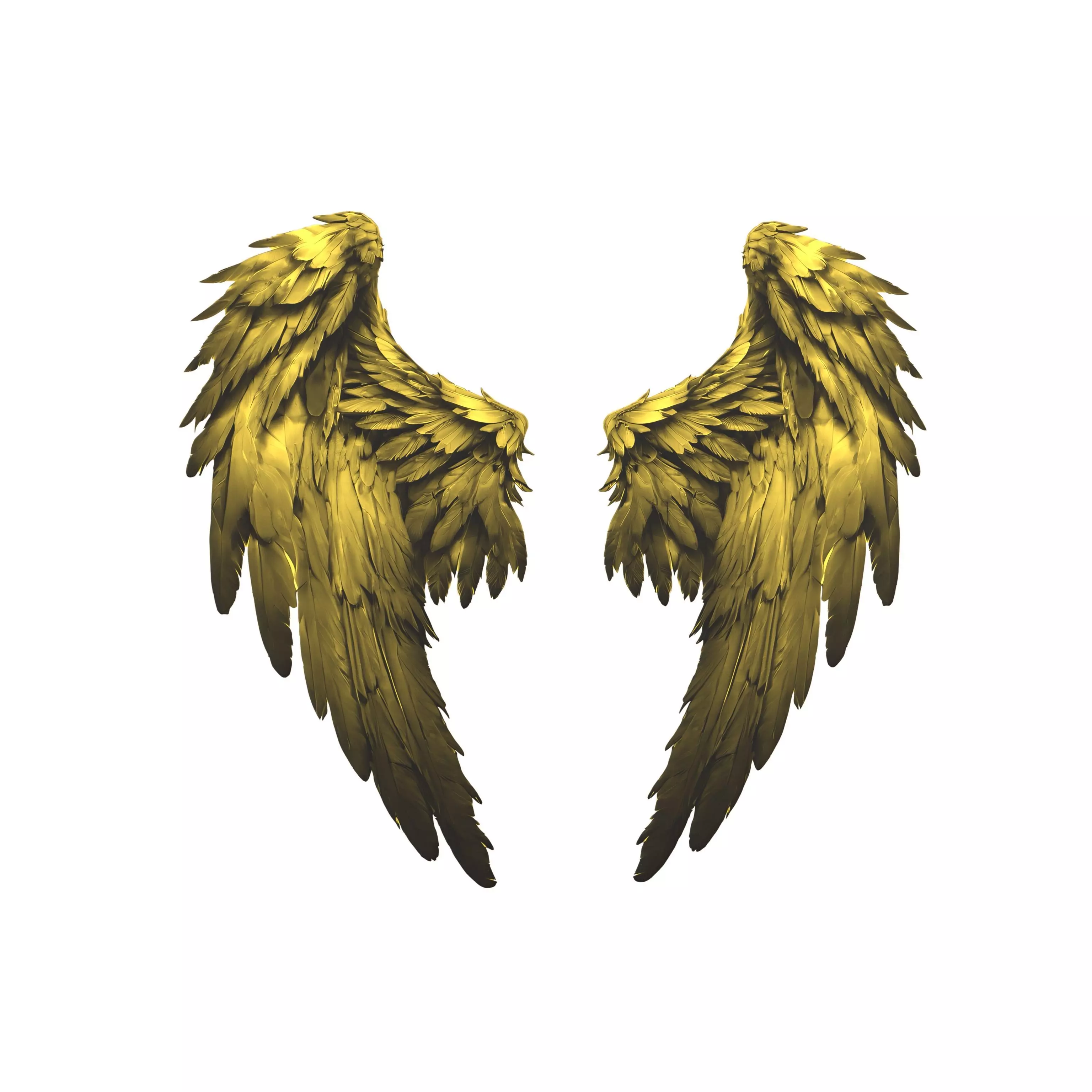 Low Poly Wings v5 005 Low-poly 3D model