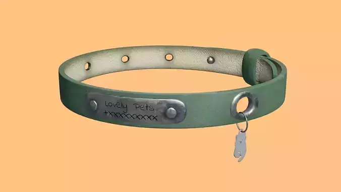 Cute cat collar 2