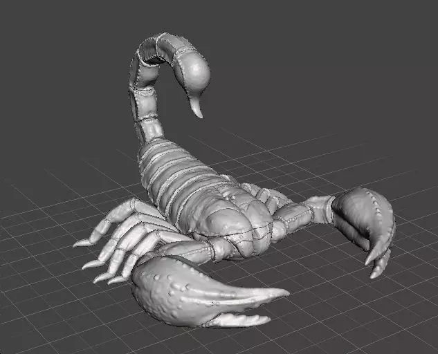 SCORPION REALISTIC FIGURE MODEL ANIMAL CREATURE WILDLIFE DND RPG 3D print model_0