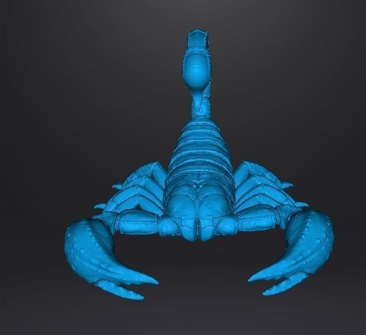 SCORPION REALISTIC FIGURE MODEL ANIMAL CREATURE WILDLIFE DND RPG 3D print model_8