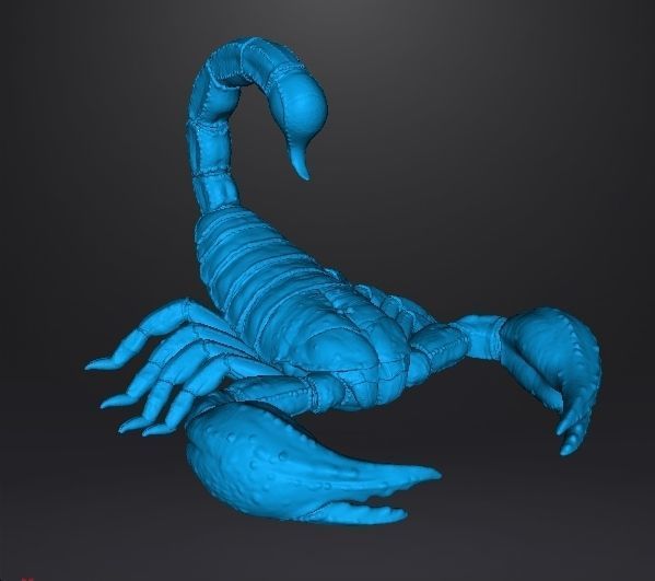 SCORPION REALISTIC FIGURE MODEL ANIMAL CREATURE WILDLIFE DND RPG 3D print model_6