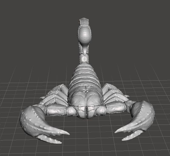 SCORPION REALISTIC FIGURE MODEL ANIMAL CREATURE WILDLIFE DND RPG 3D print model_1