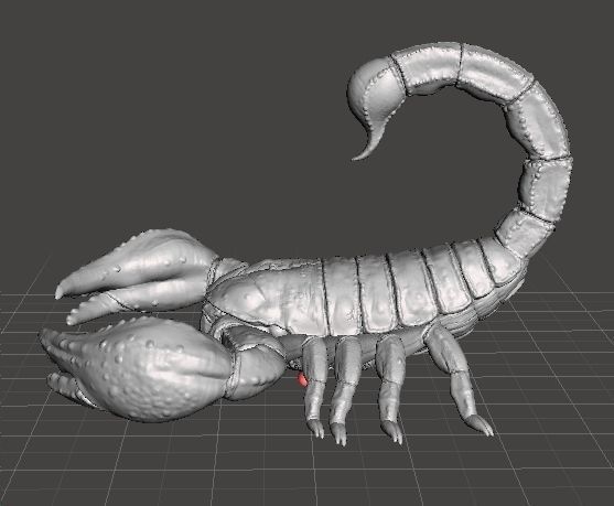 SCORPION REALISTIC FIGURE MODEL ANIMAL CREATURE WILDLIFE DND RPG 3D print model_3