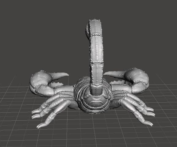 SCORPION REALISTIC FIGURE MODEL ANIMAL CREATURE WILDLIFE DND RPG 3D print model_4