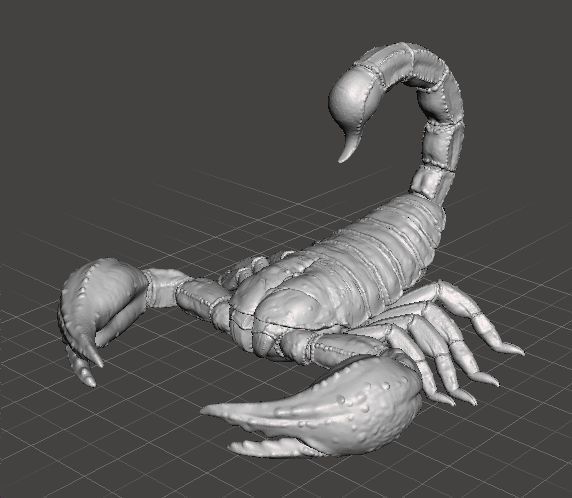 SCORPION REALISTIC FIGURE MODEL ANIMAL CREATURE WILDLIFE DND RPG 3D print model_2