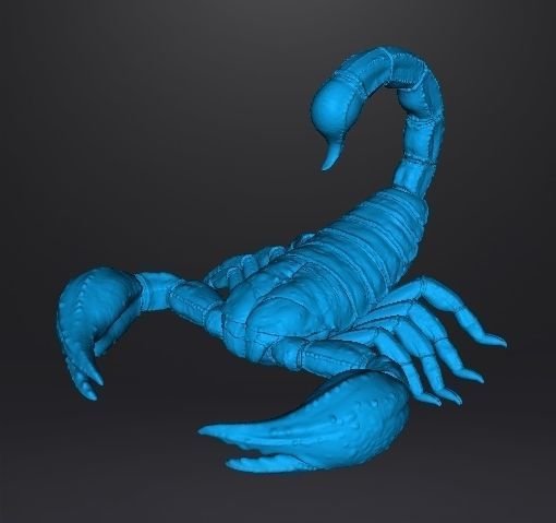 SCORPION REALISTIC FIGURE MODEL ANIMAL CREATURE WILDLIFE DND RPG 3D print model_7