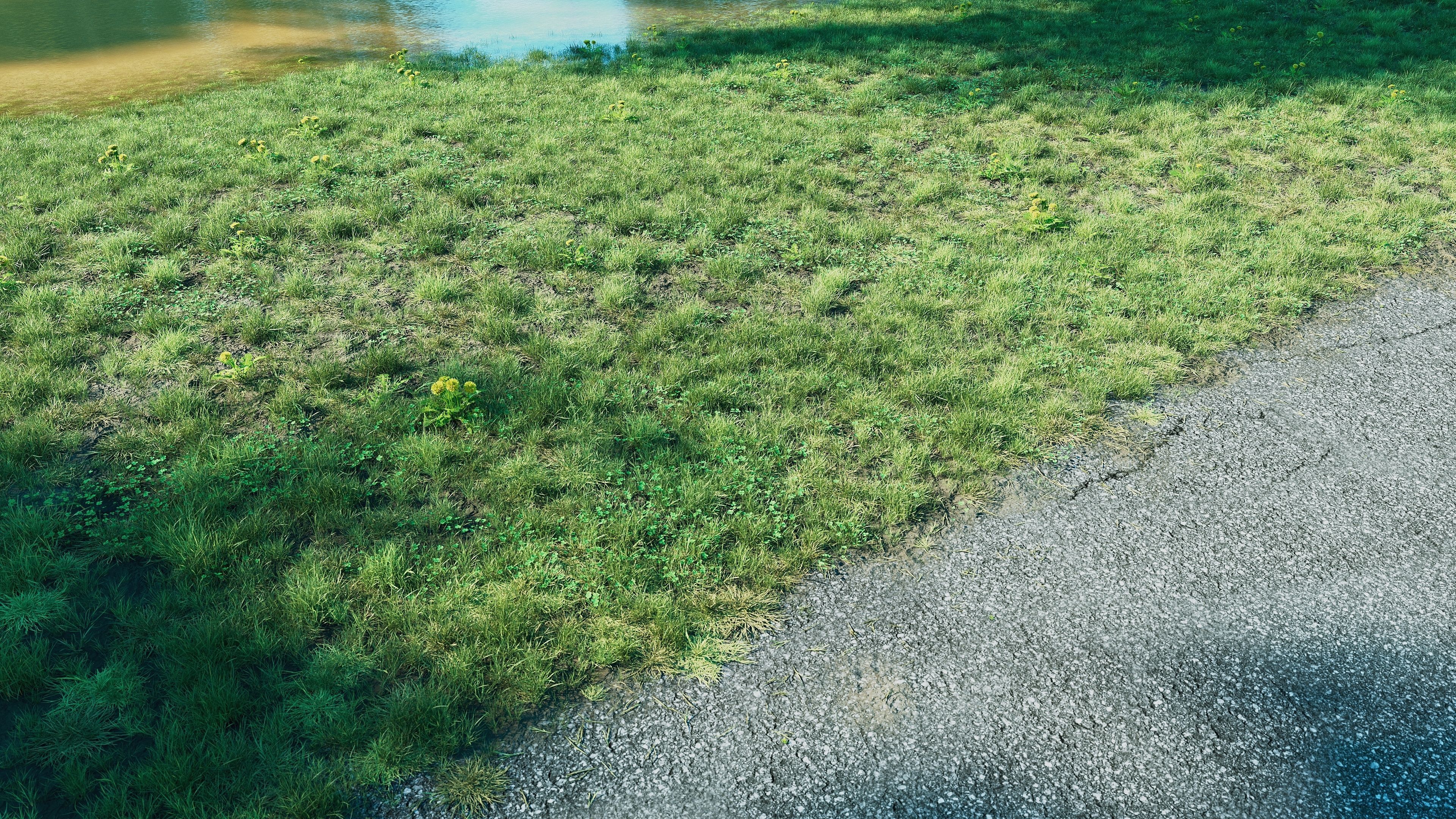 Realistic Grass Pack - CGrass v2 3D model_6