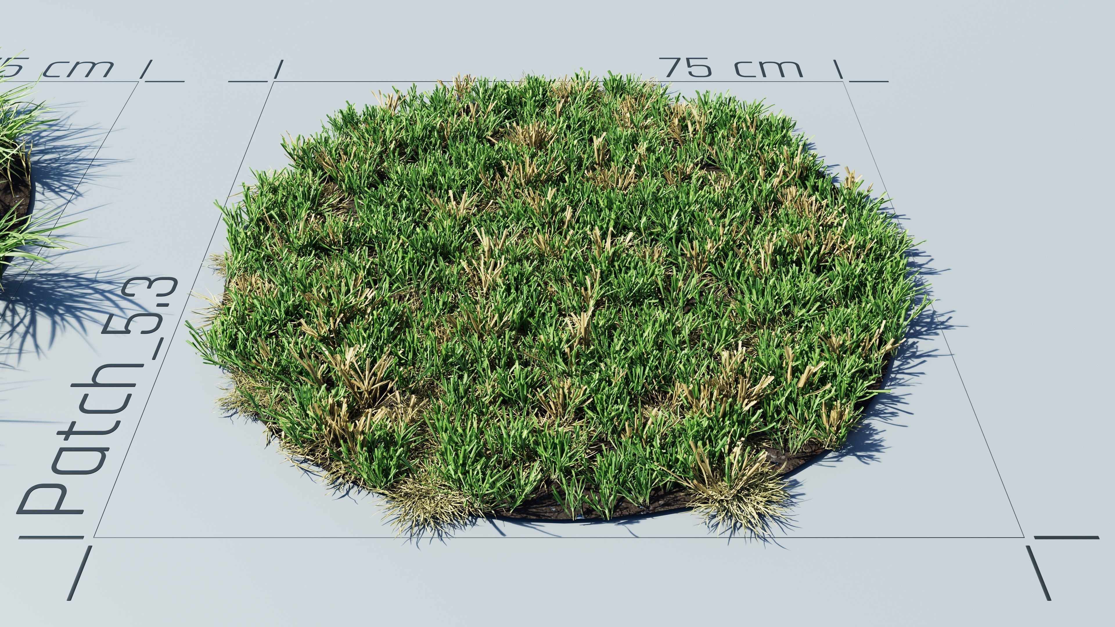 Realistic Grass Pack - CGrass v2 3D model_34