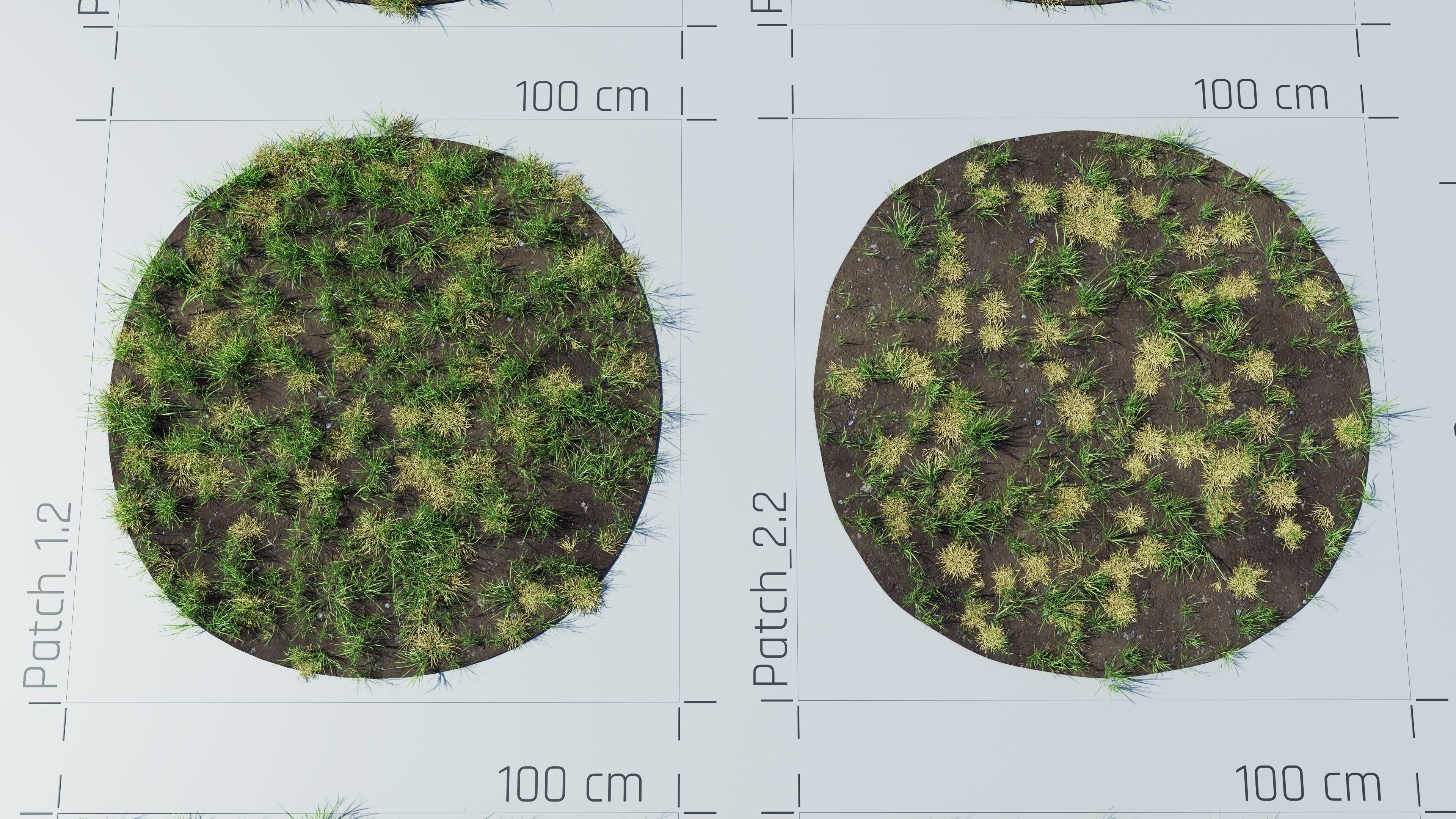 Realistic Grass Pack - CGrass v2 3D model_42