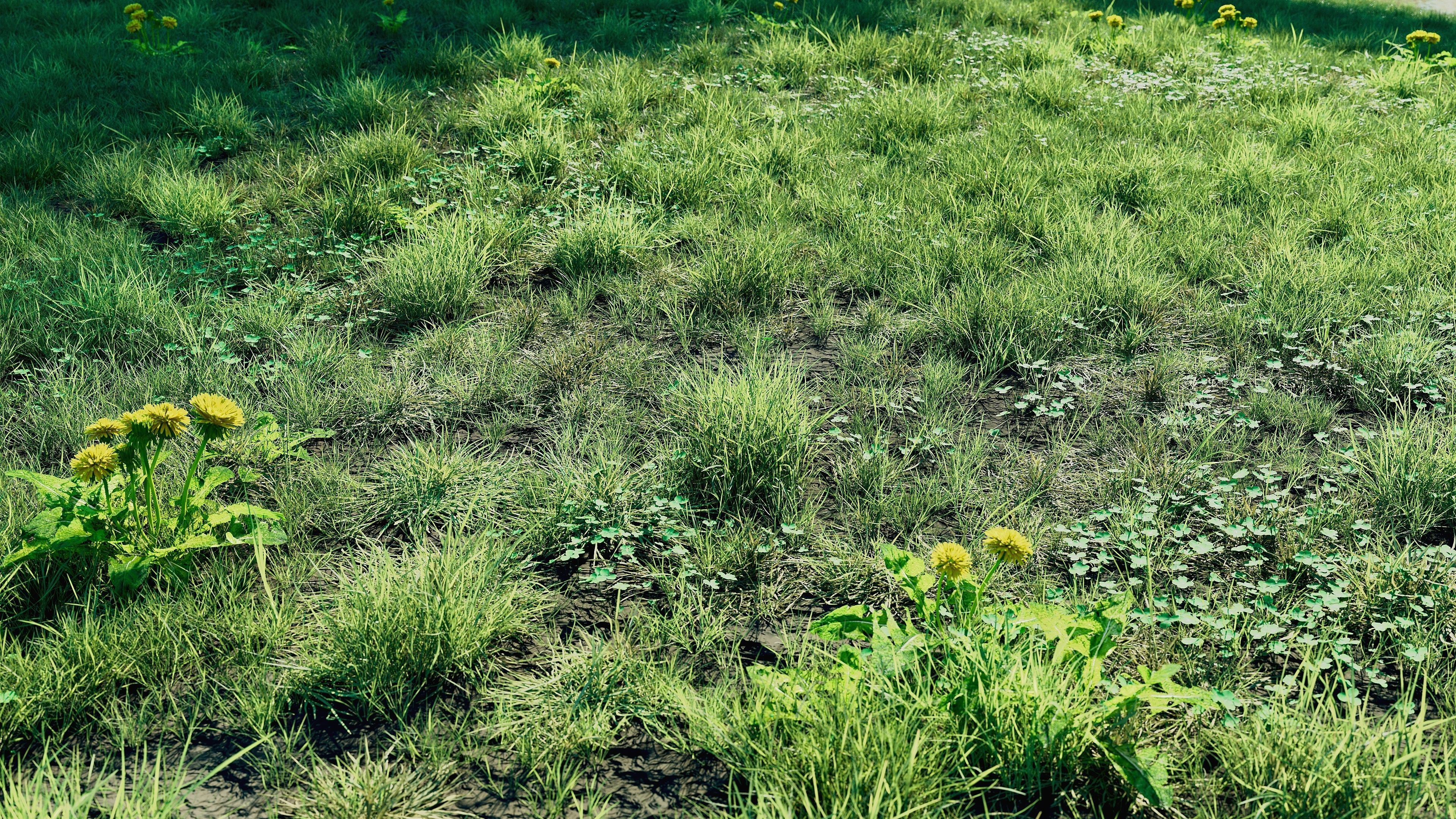 Realistic Grass Pack - CGrass v2 3D model_14