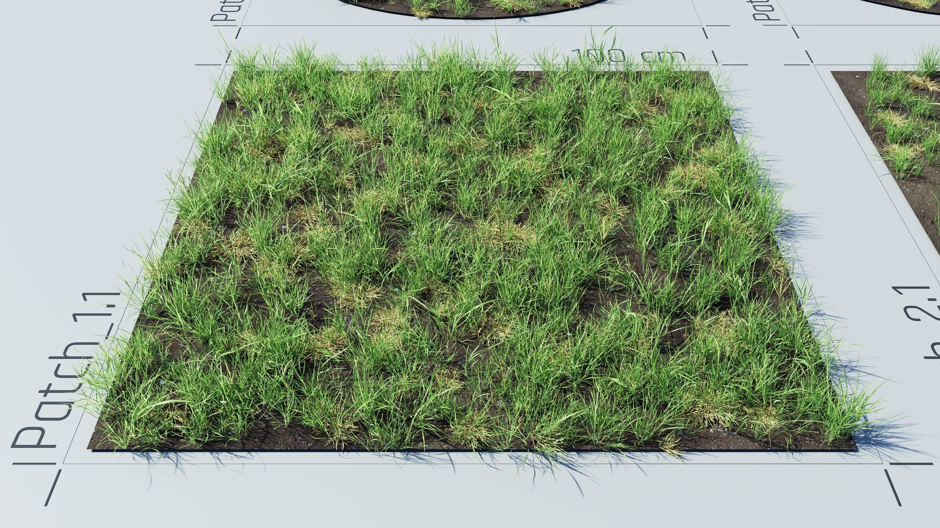Realistic Grass Pack - CGrass v2 3D model_28