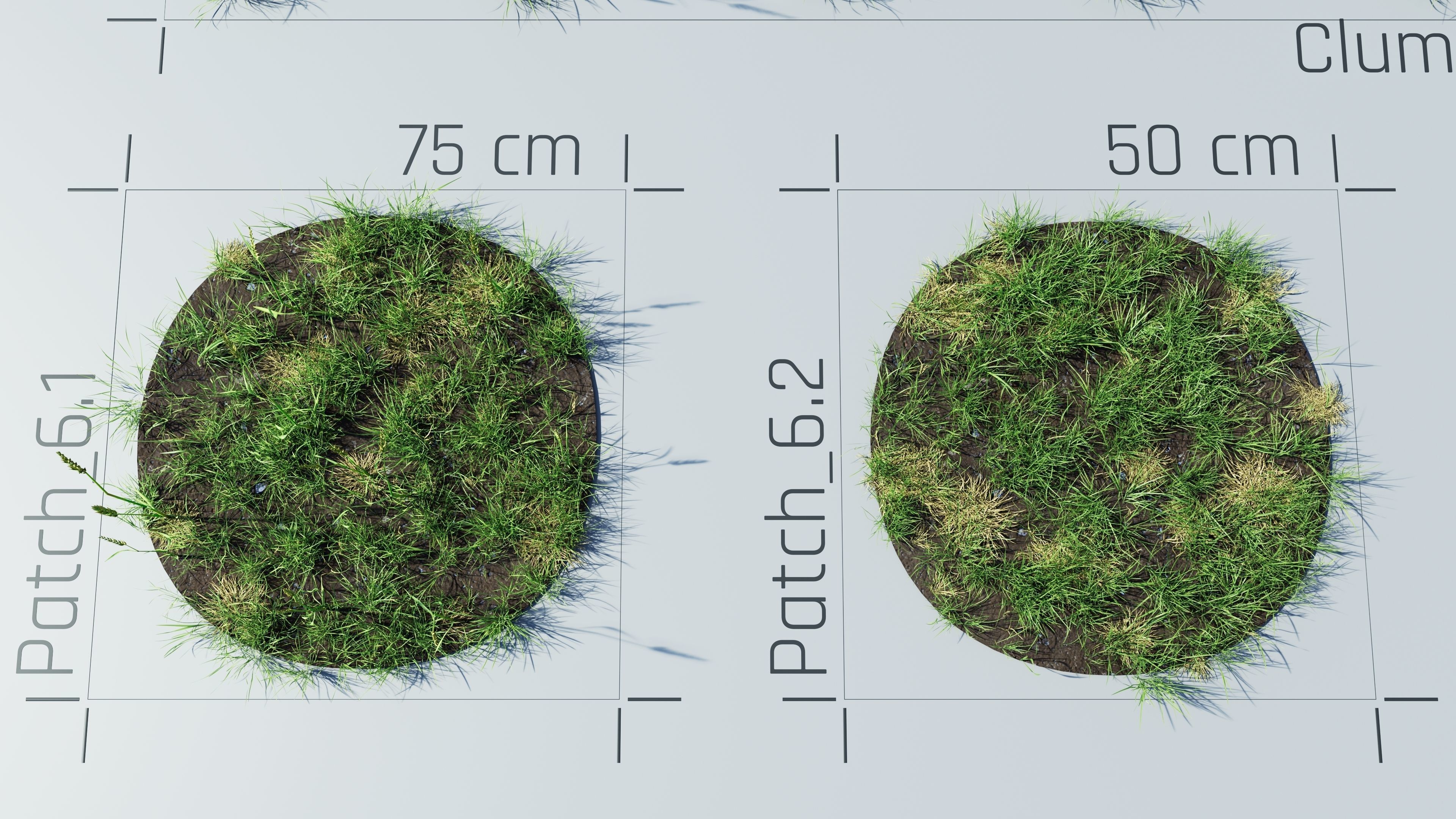 Realistic Grass Pack - CGrass v2 3D model_40