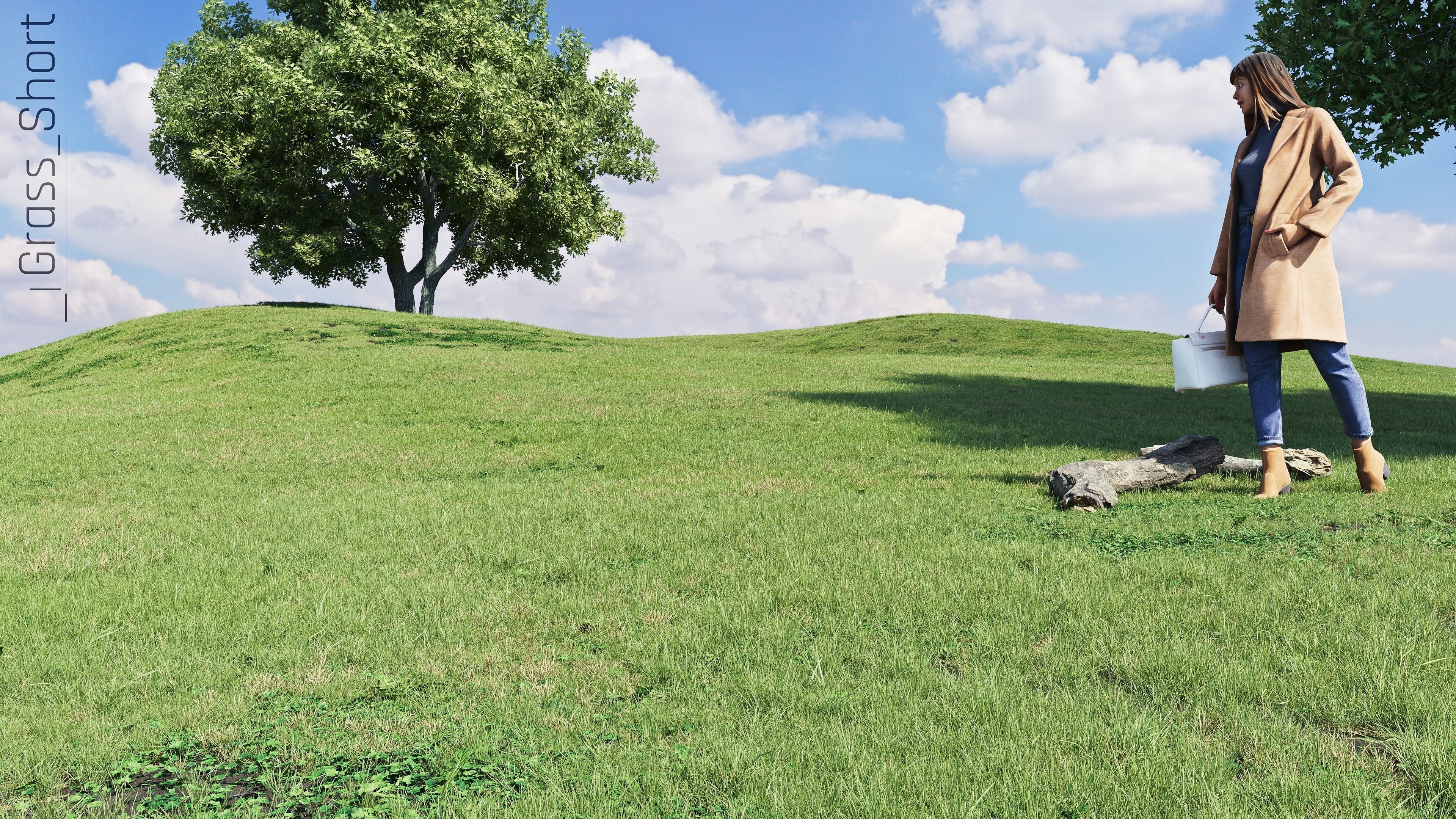 Realistic Grass Pack - CGrass v2 3D model_7