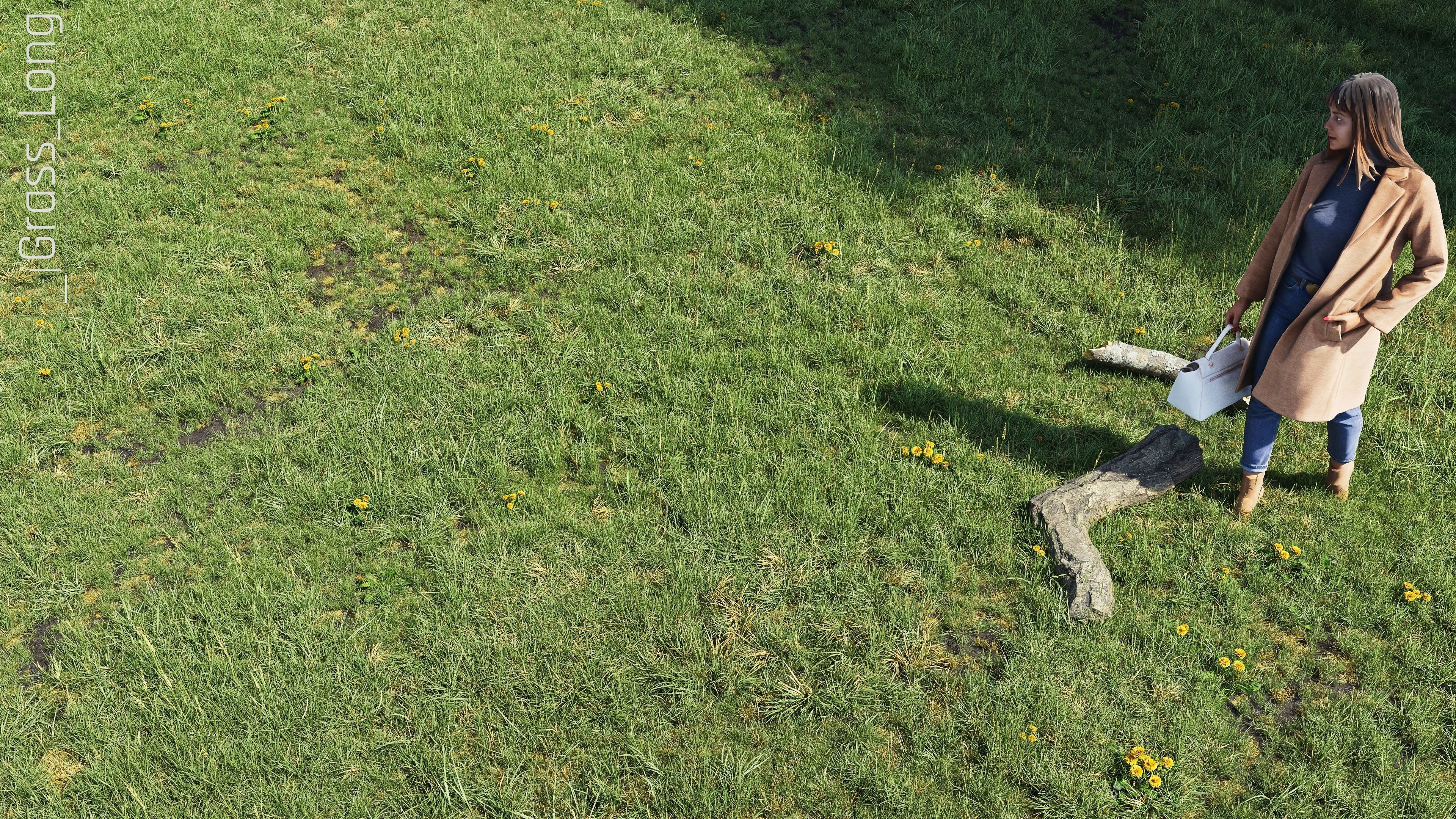 Realistic Grass Pack - CGrass v2 3D model_21