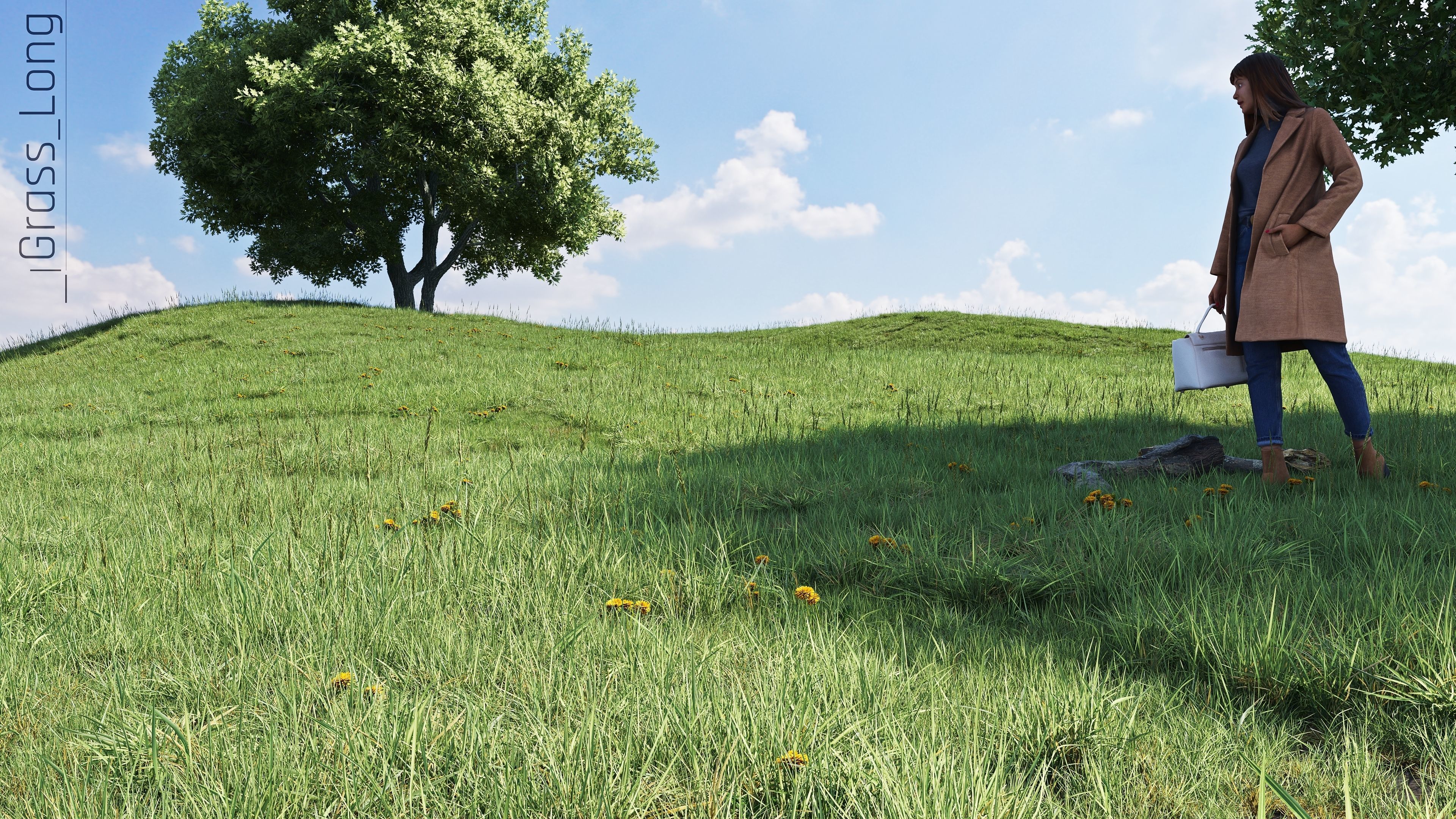 Realistic Grass Pack - CGrass v2 3D model_20