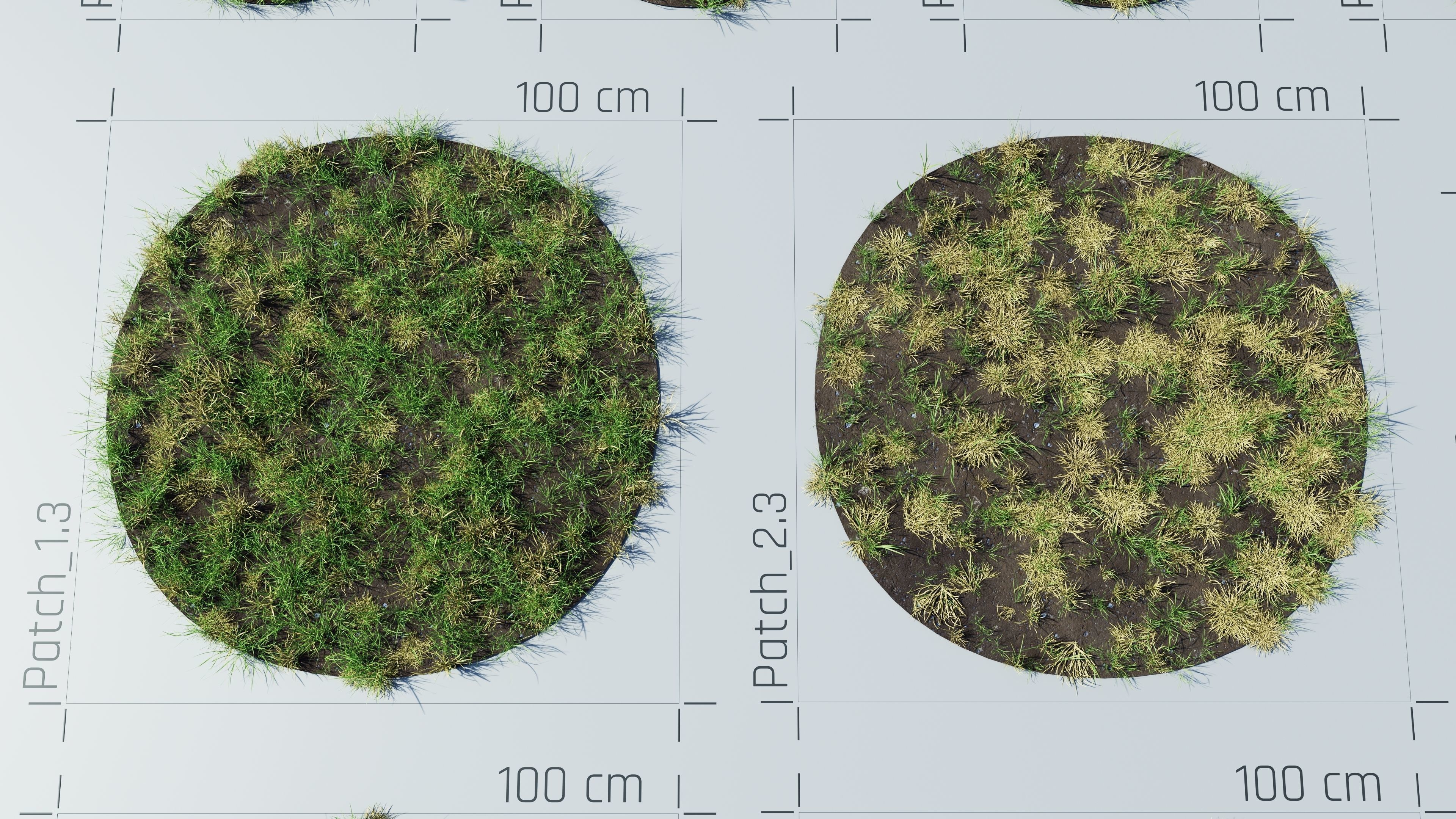 Realistic Grass Pack - CGrass v2 3D model_41