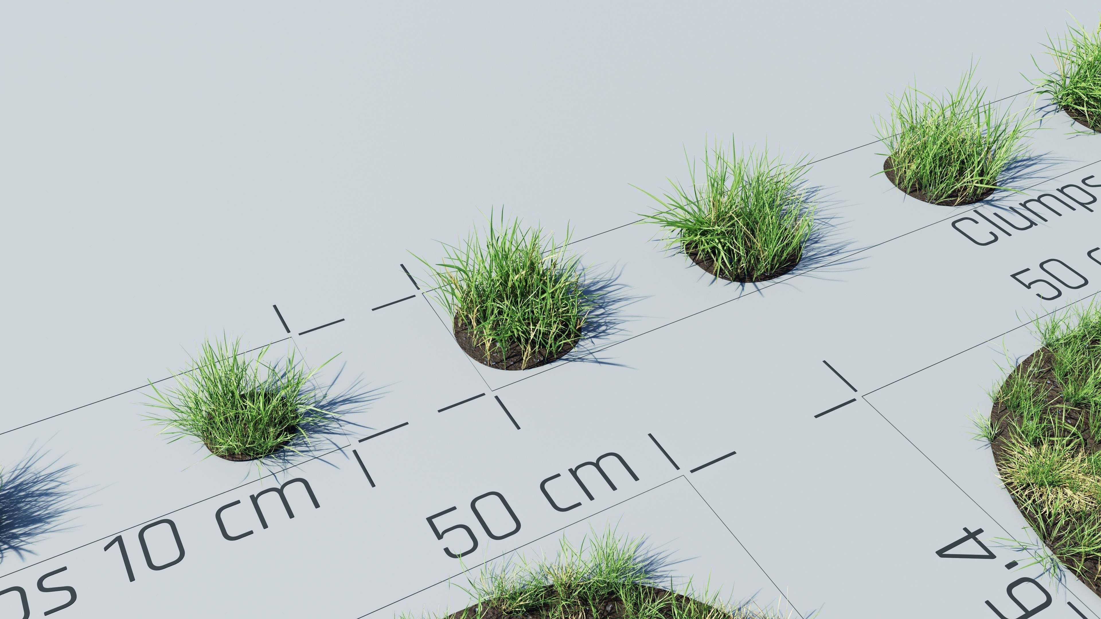 Realistic Grass Pack - CGrass v2 3D model_35