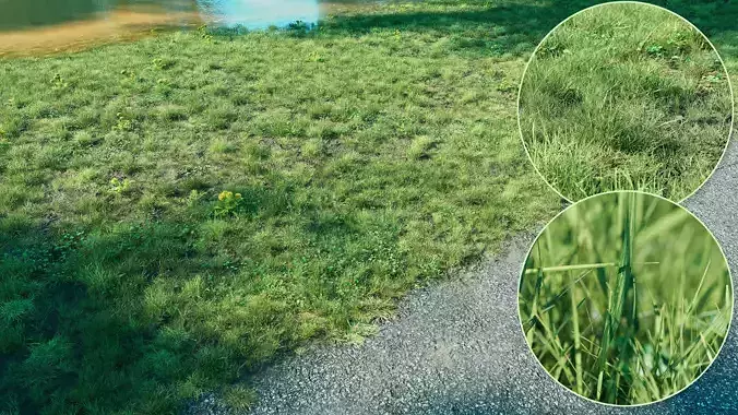 Realistic Grass Pack - CGrass v2 3D model