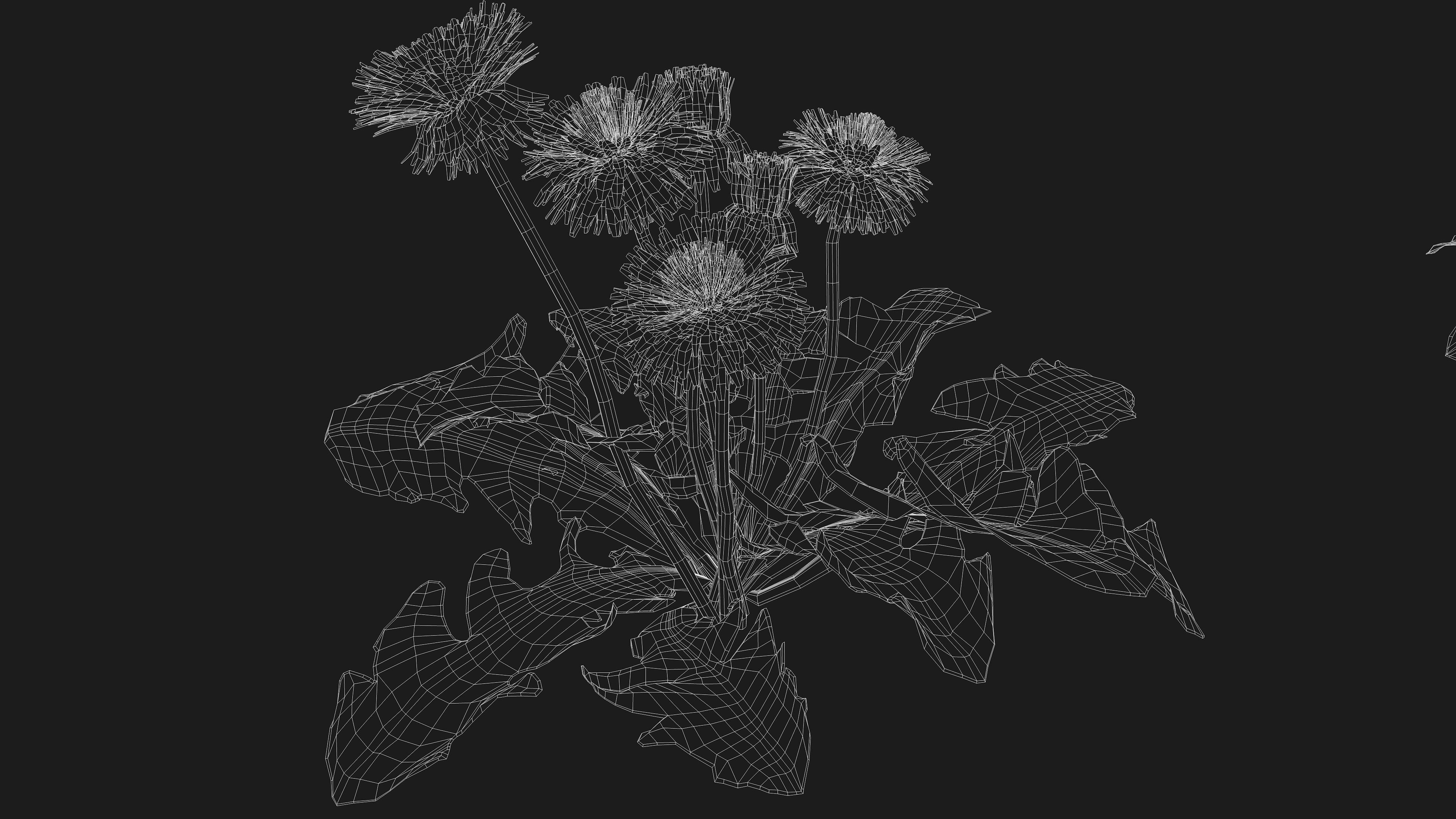 Realistic Grass Pack - CGrass v2 3D model_50