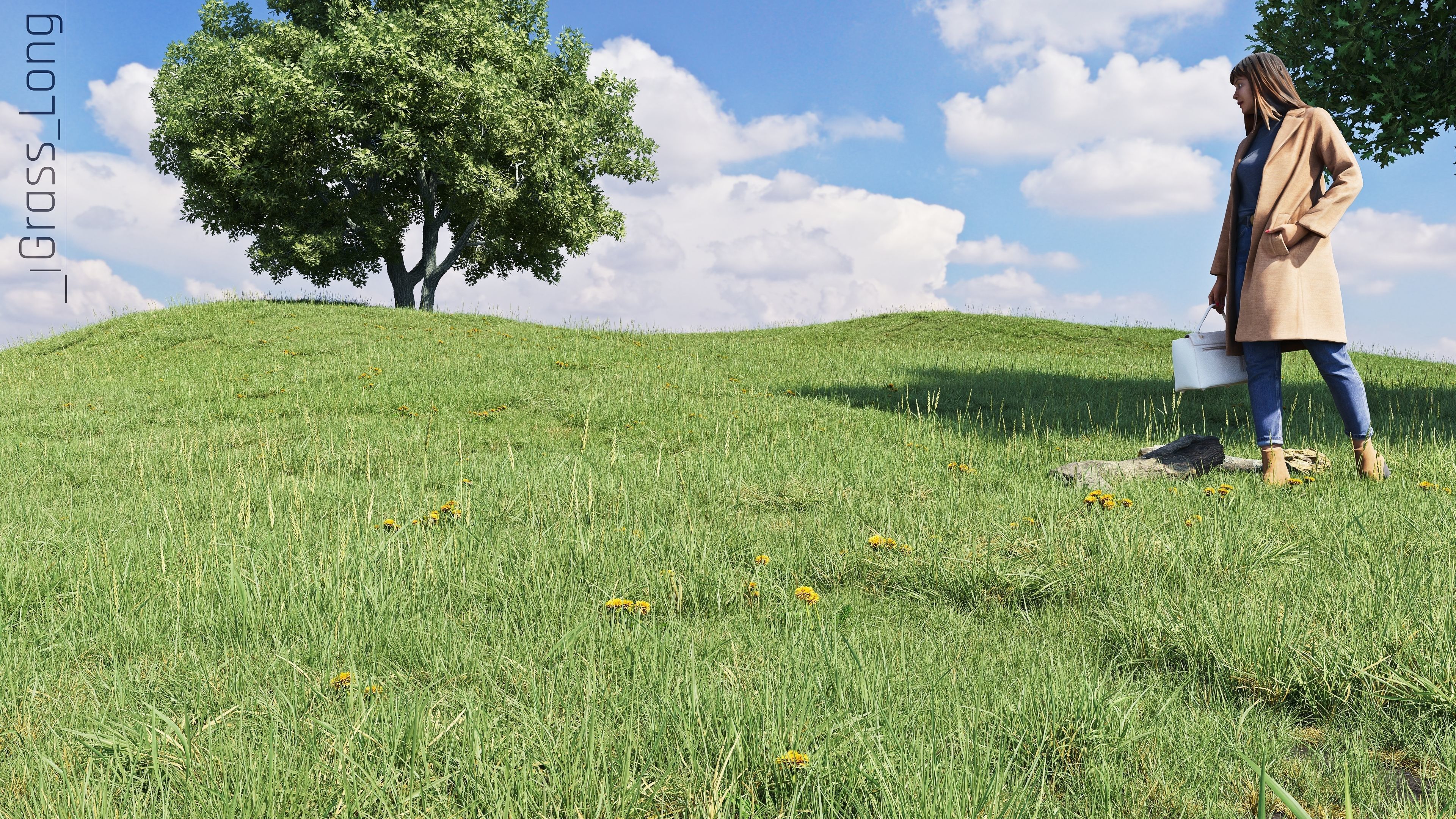 Realistic Grass Pack - CGrass v2 3D model_19