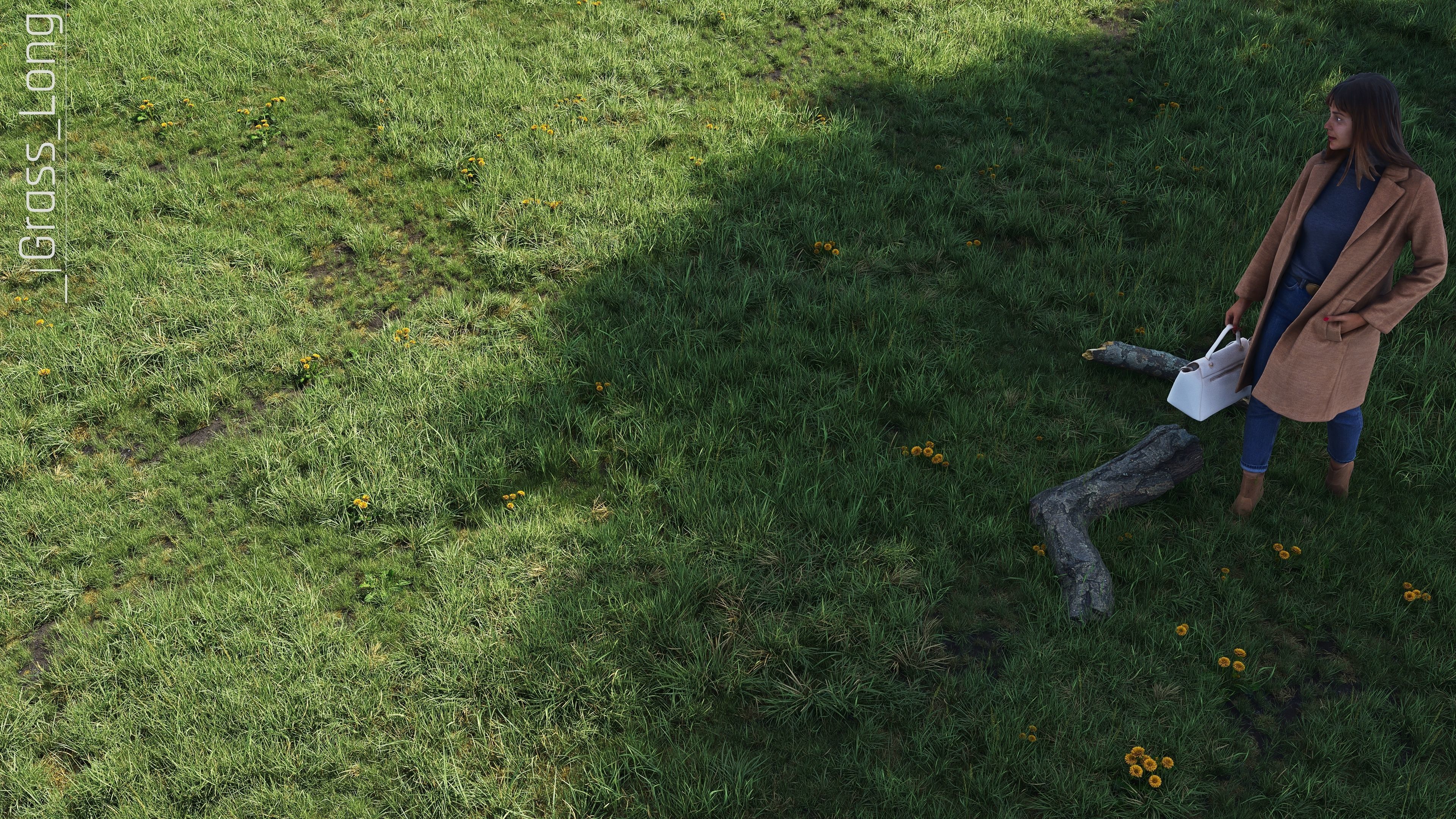 Realistic Grass Pack - CGrass v2 3D model_22