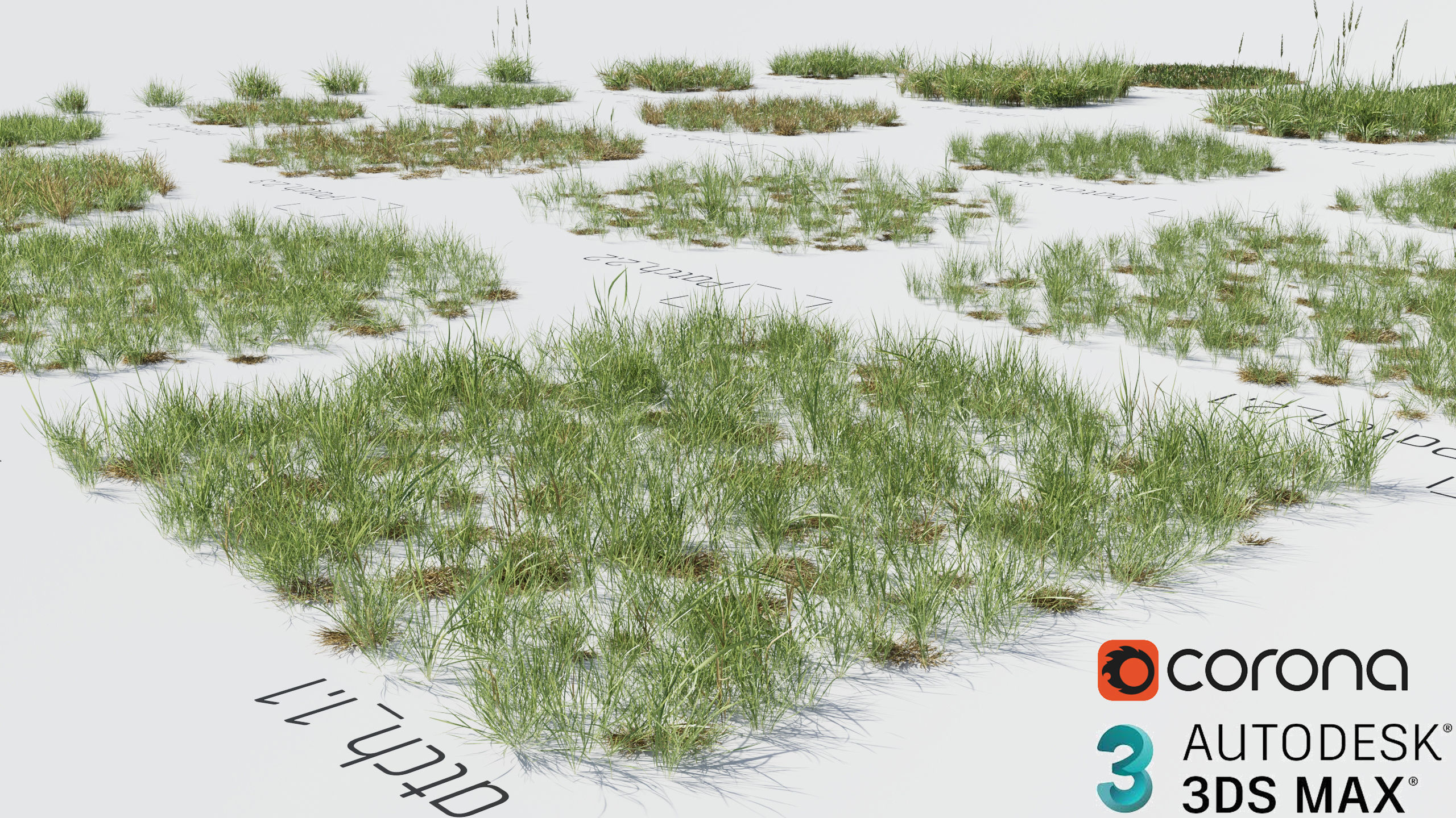 Realistic Grass Pack - CGrass v2 3D model_61