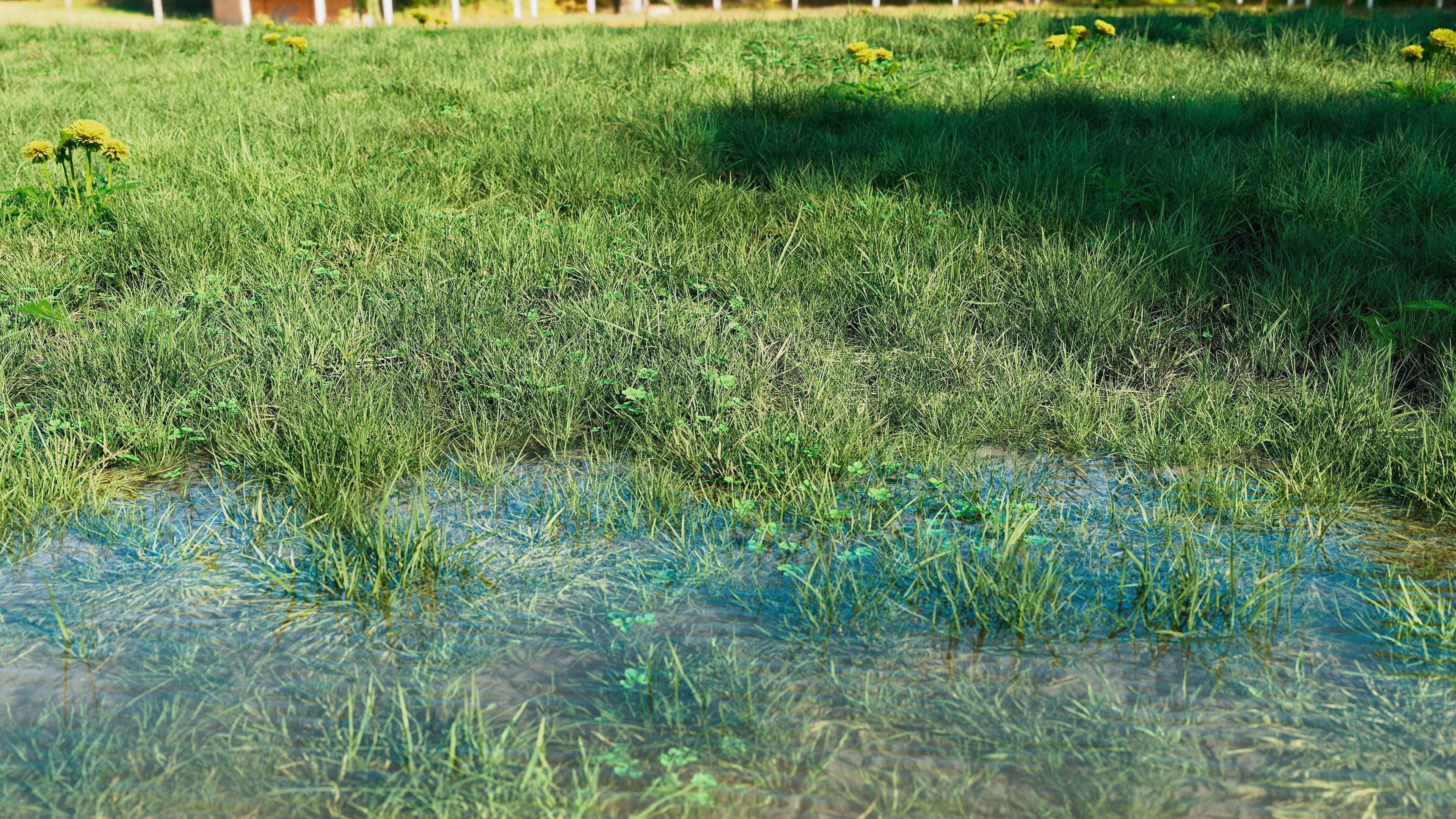 Realistic Grass Pack - CGrass v2 3D model_4