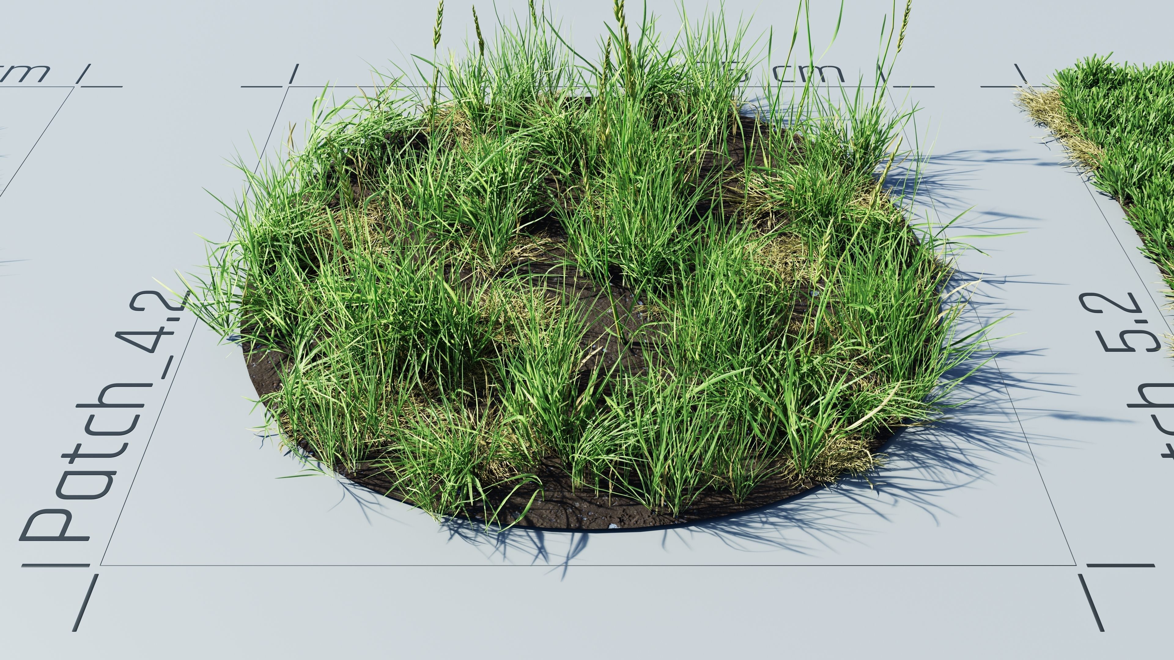 Realistic Grass Pack - CGrass v2 3D model_31