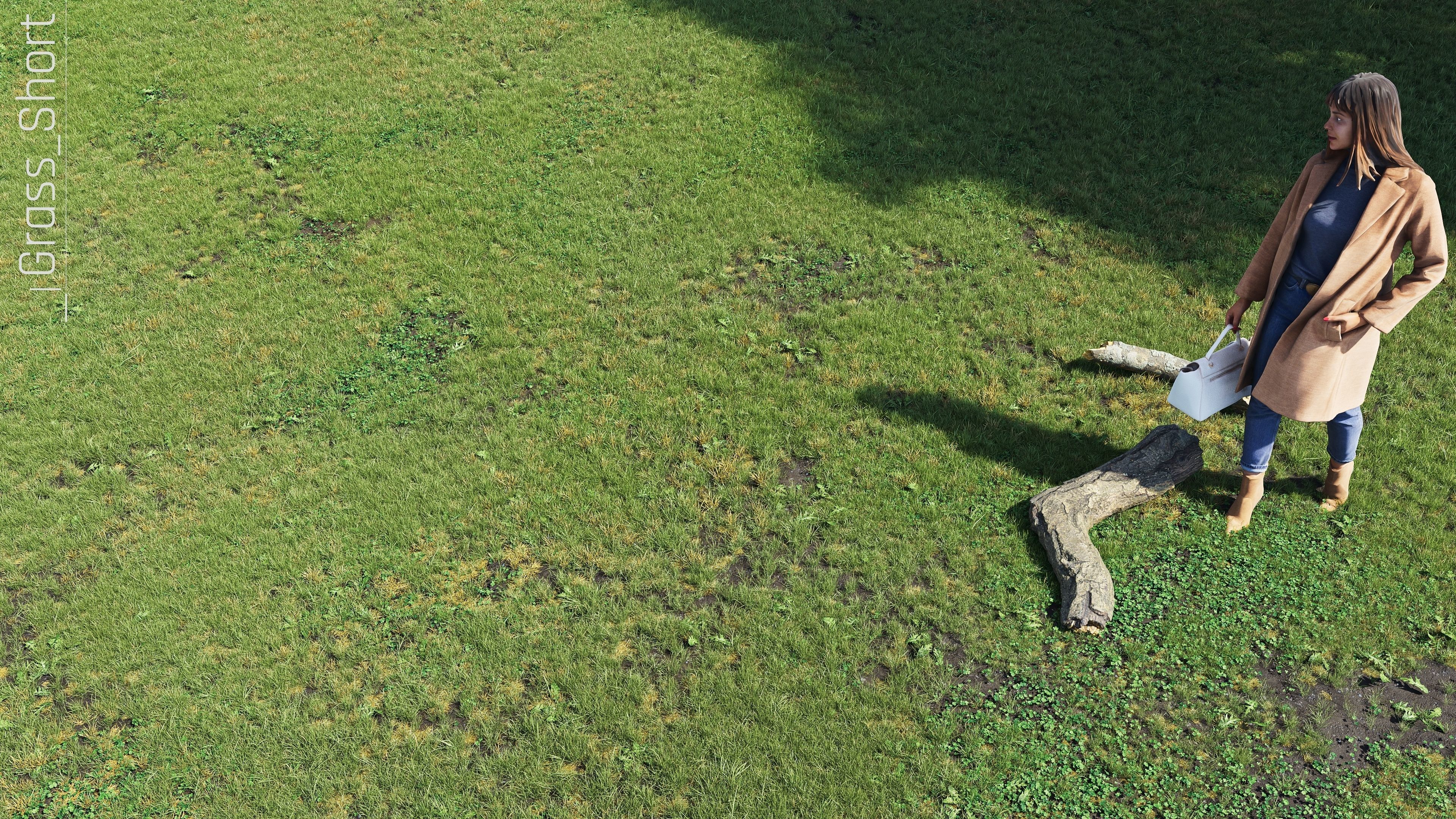 Realistic Grass Pack - CGrass v2 3D model_23