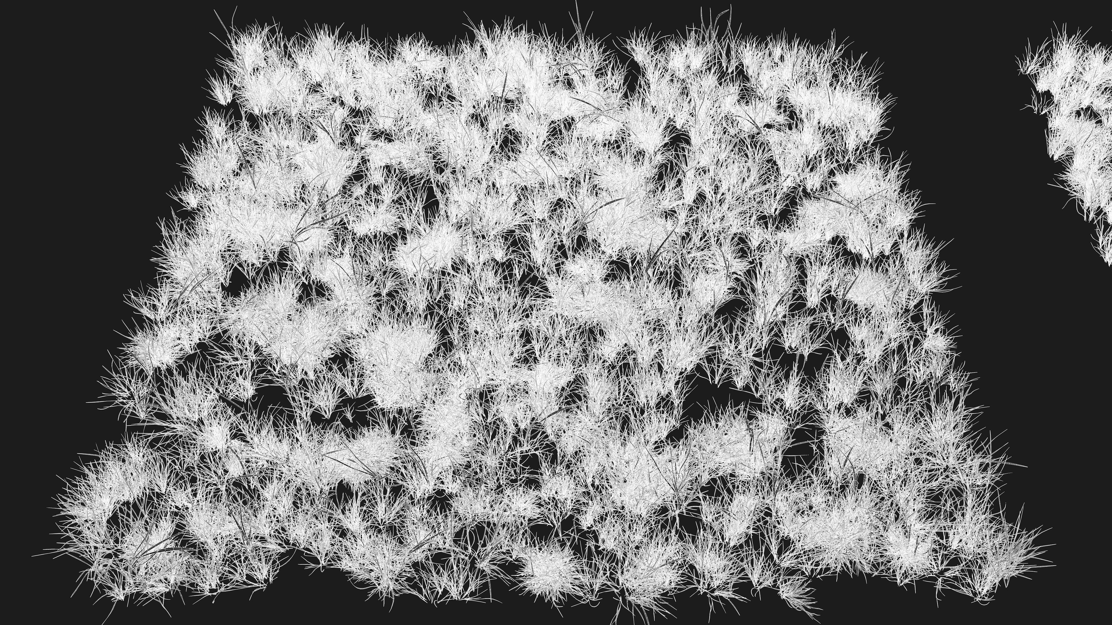 Realistic Grass Pack - CGrass v2 3D model_58