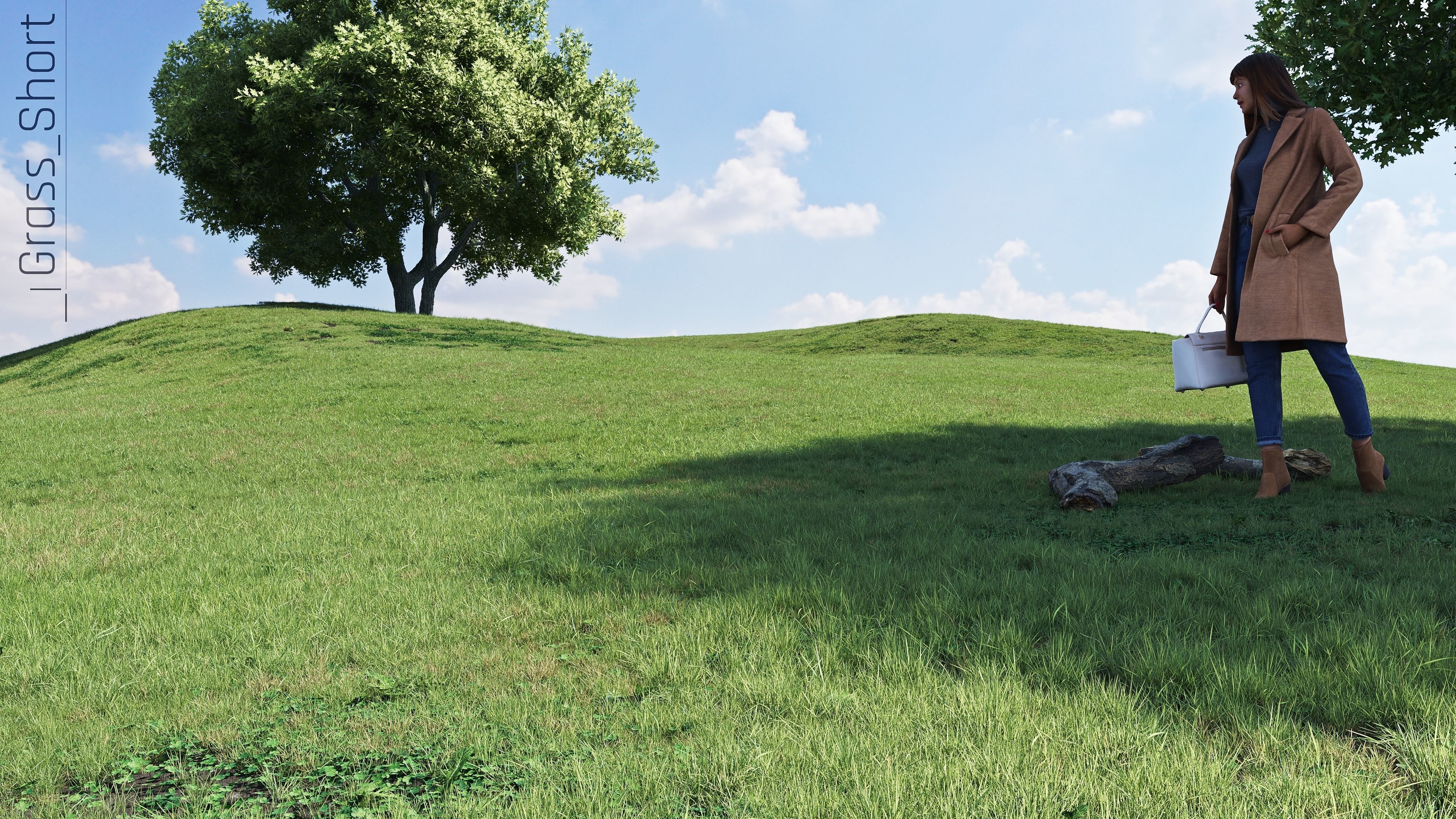 Realistic Grass Pack - CGrass v2 3D model_18
