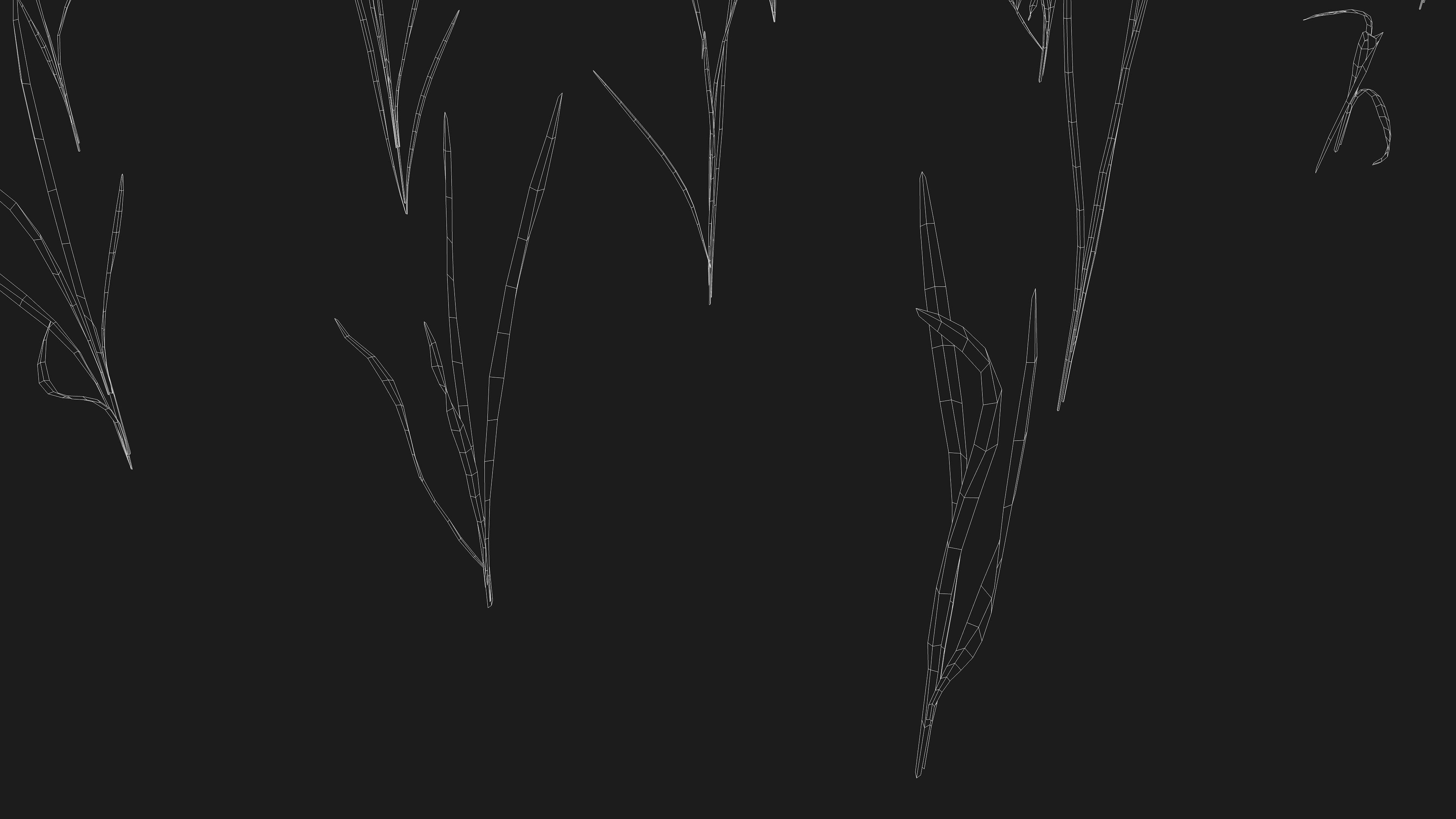 Realistic Grass Pack - CGrass v2 3D model_53