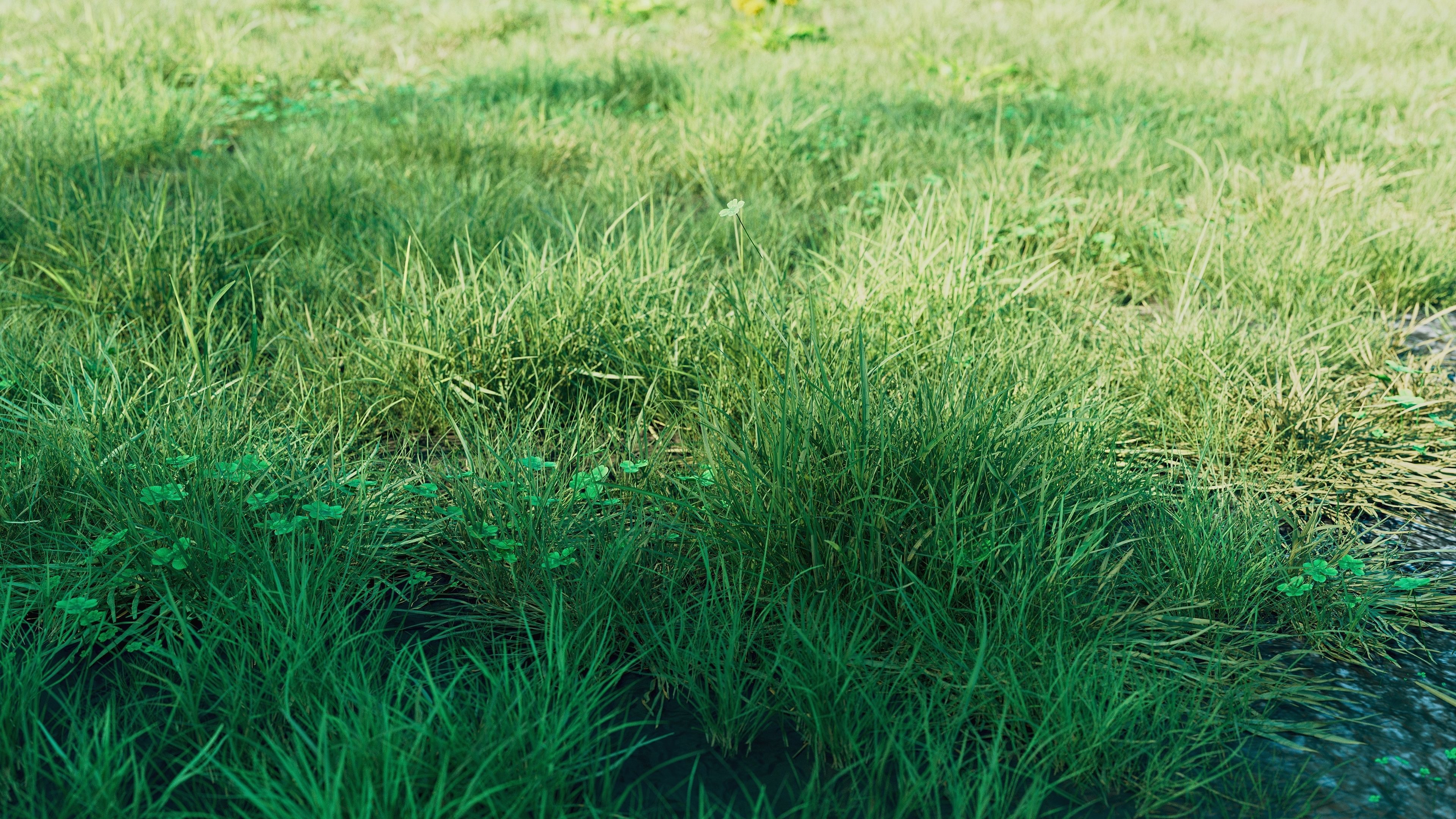 Realistic Grass Pack - CGrass v2 3D model_12