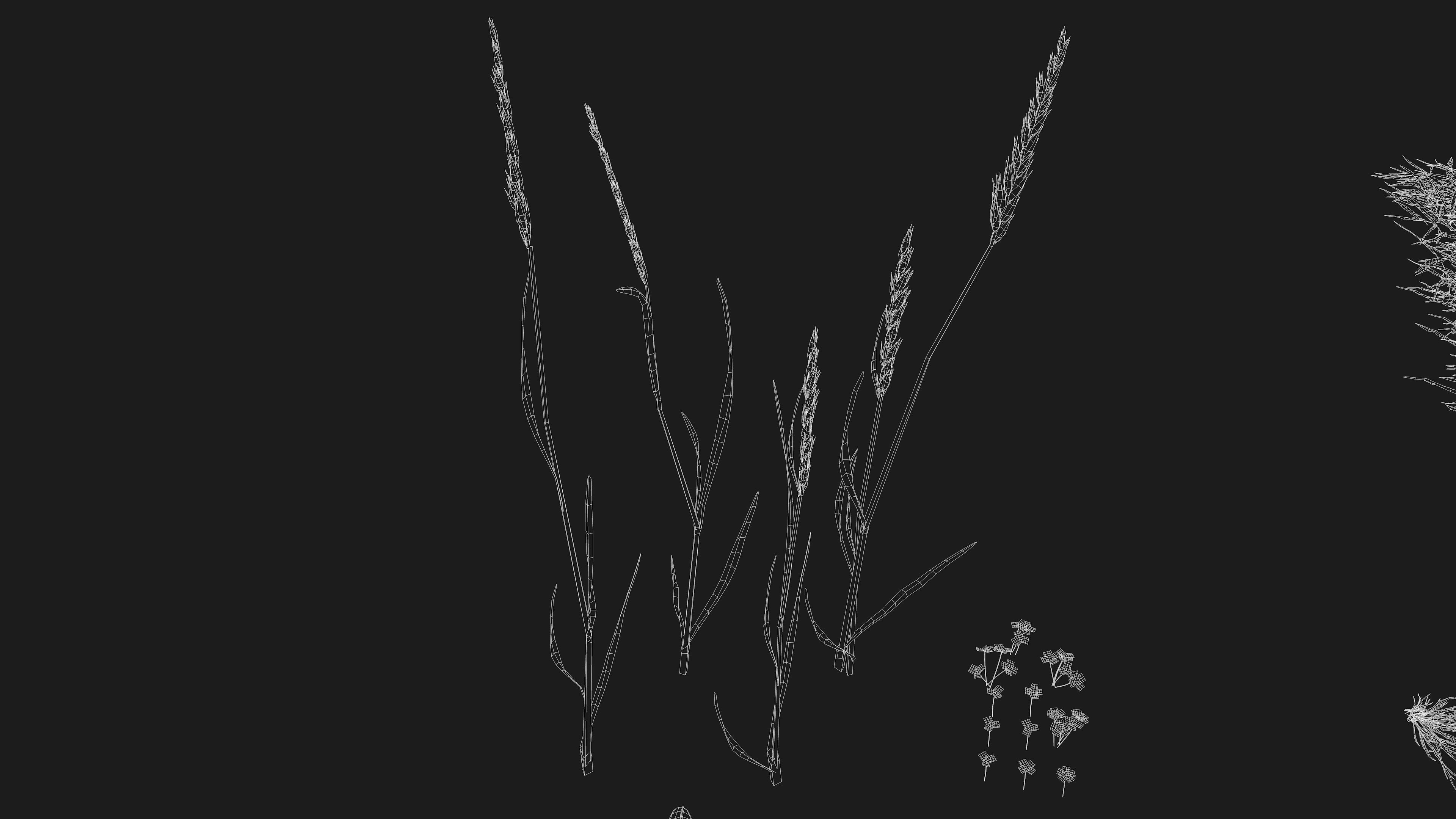 Realistic Grass Pack - CGrass v2 3D model_49