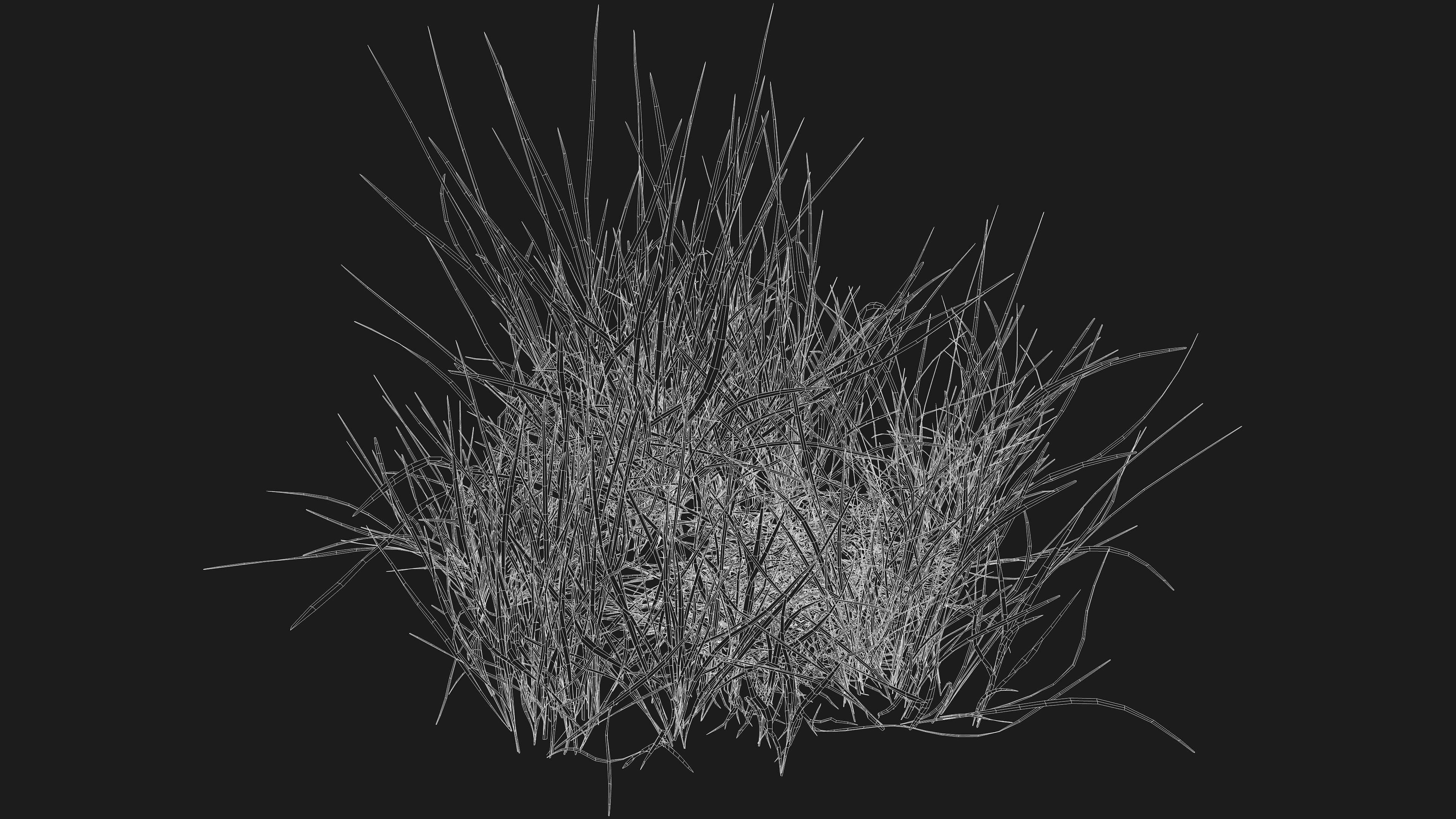 Realistic Grass Pack - CGrass v2 3D model_59