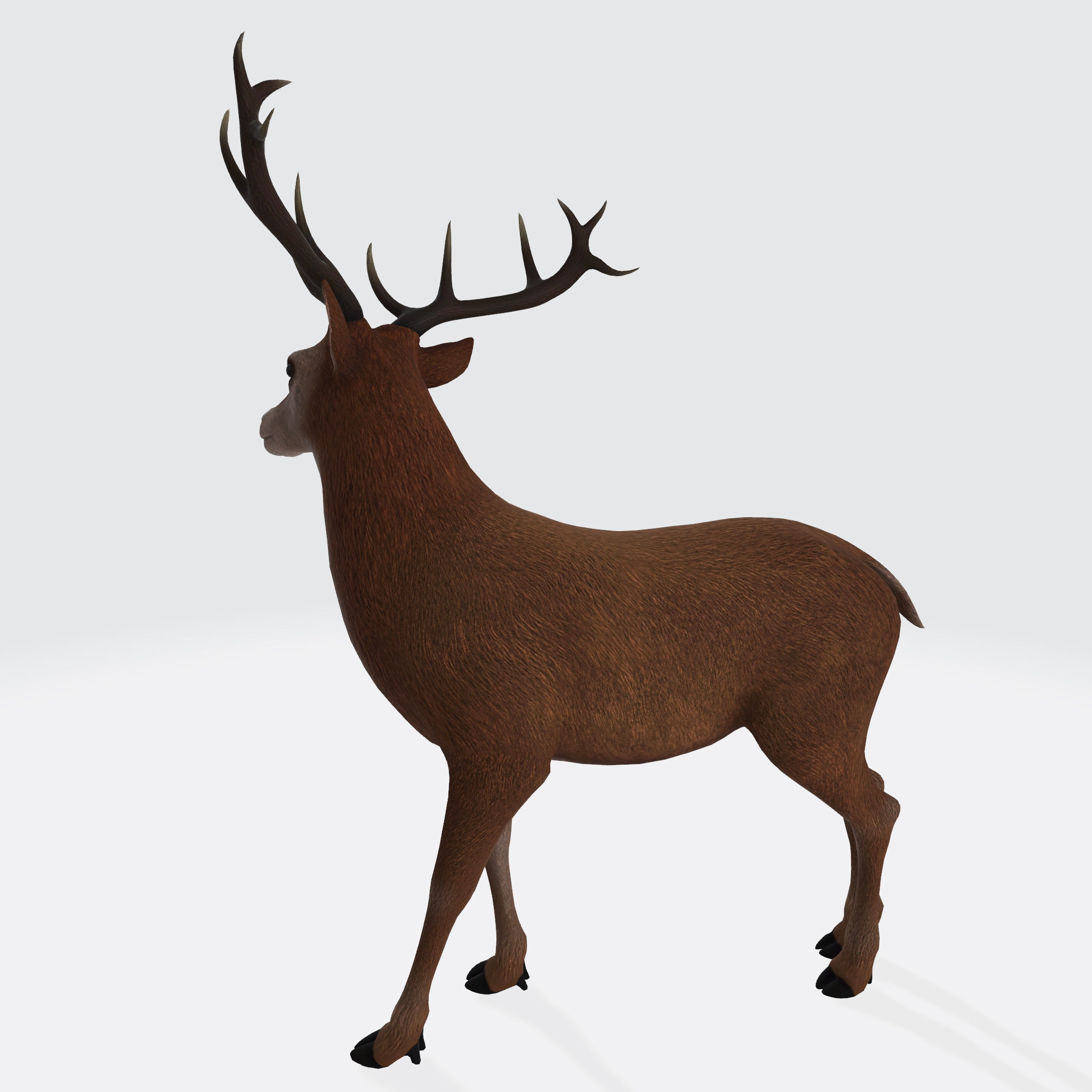 Reindeer 3D Model Ready to Print 3D model 3D printable | CGTrader