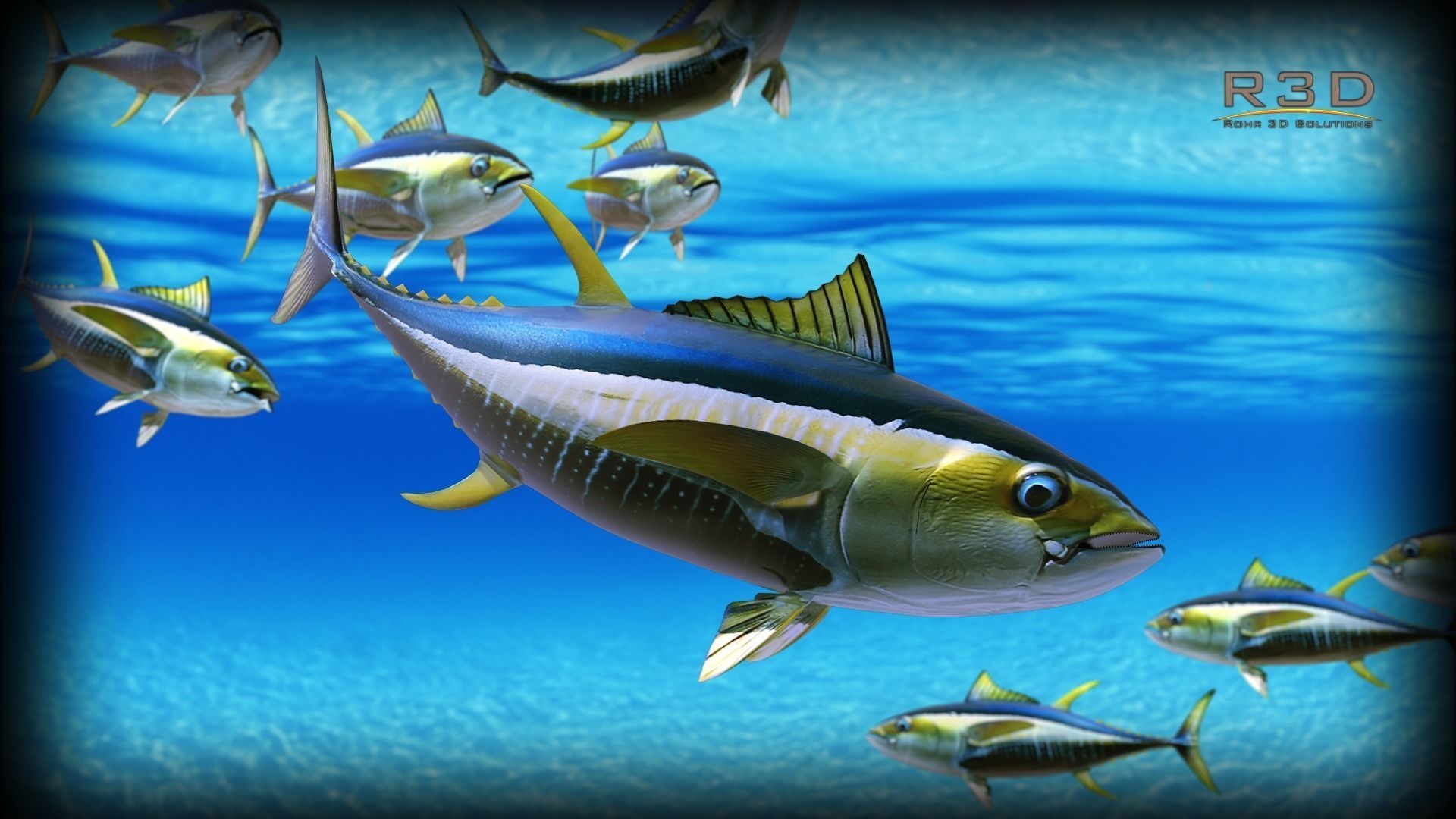 Yellowfin Tuna Fish Low-poly 3D model_2