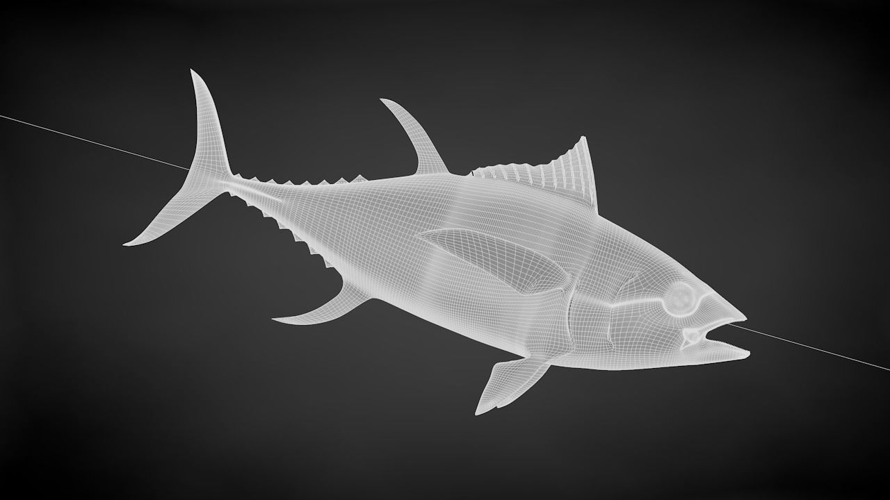 Yellowfin Tuna Fish Low-poly 3D model_40