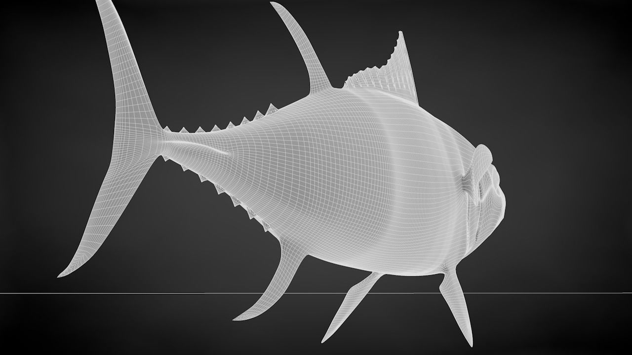 Yellowfin Tuna Fish Low-poly 3D model_37