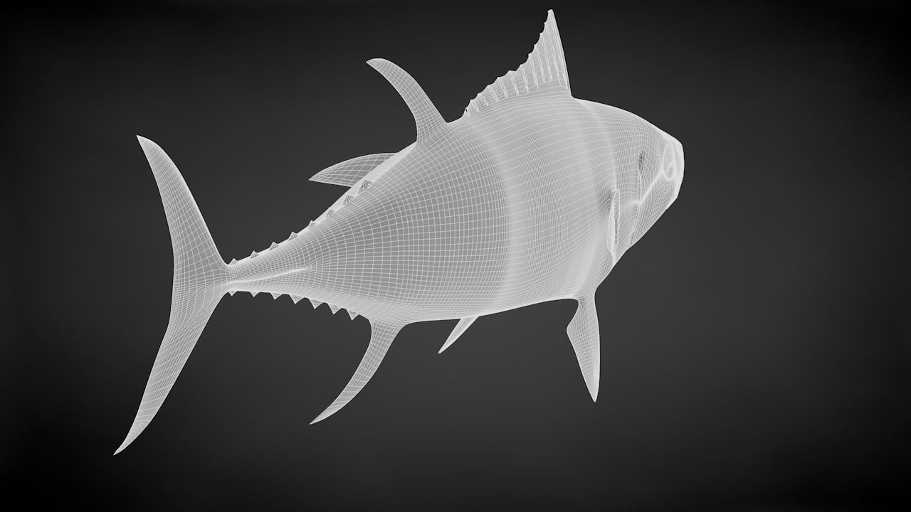 Yellowfin Tuna Fish Low-poly 3D model_38