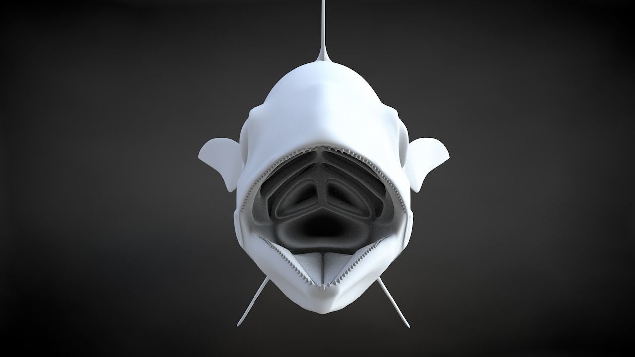 Yellowfin Tuna Fish Low-poly 3D model_31