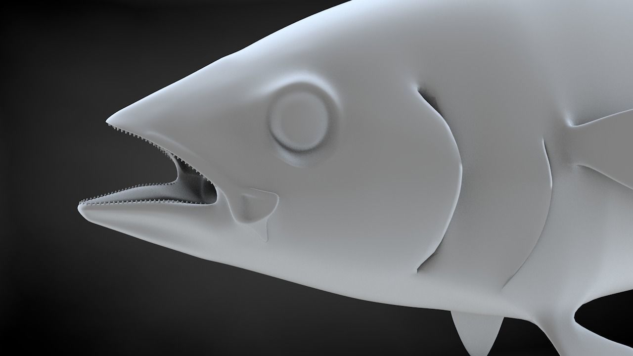 Yellowfin Tuna Fish Low-poly 3D model_23