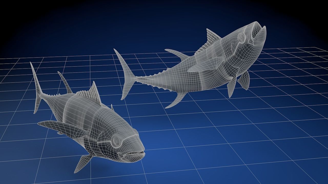 Yellowfin Tuna Fish Low-poly 3D model_4