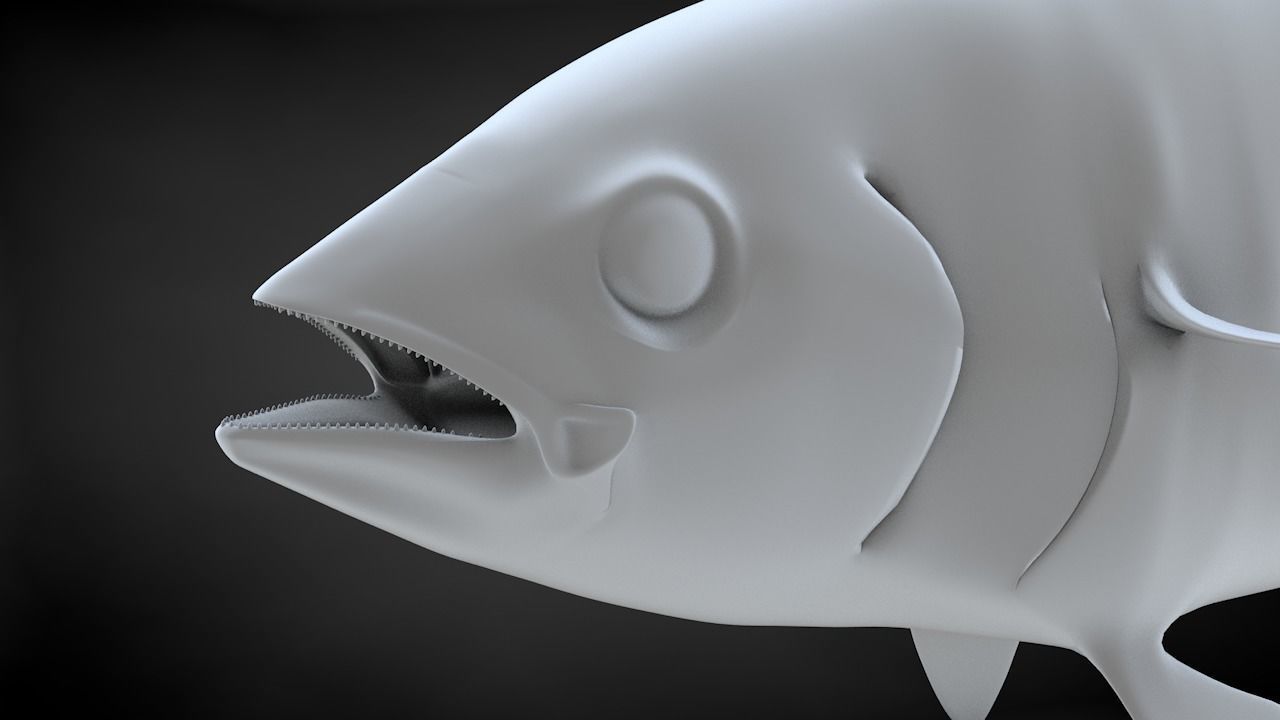 Yellowfin Tuna Fish Low-poly 3D model_49