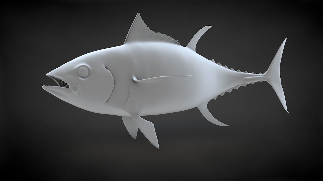 Yellowfin Tuna Fish Low-poly 3D model_48