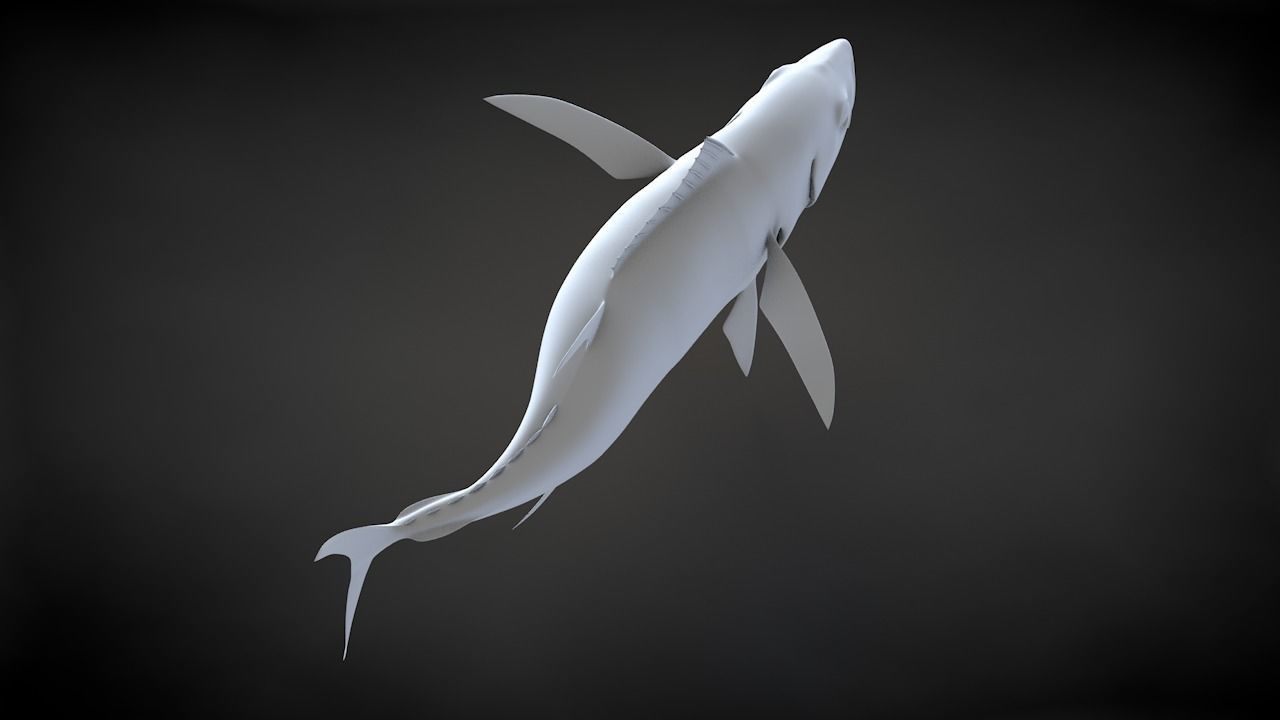 Yellowfin Tuna Fish Low-poly 3D model_54