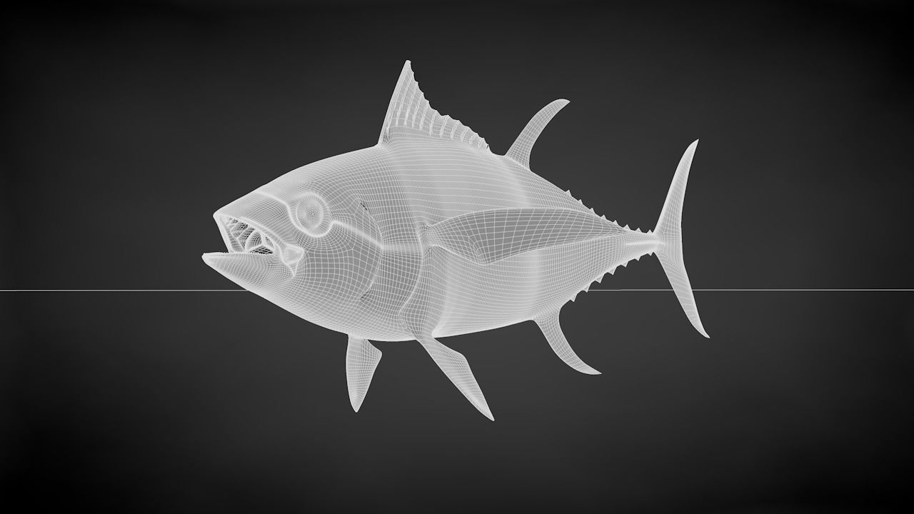 Yellowfin Tuna Fish Low-poly 3D model_33